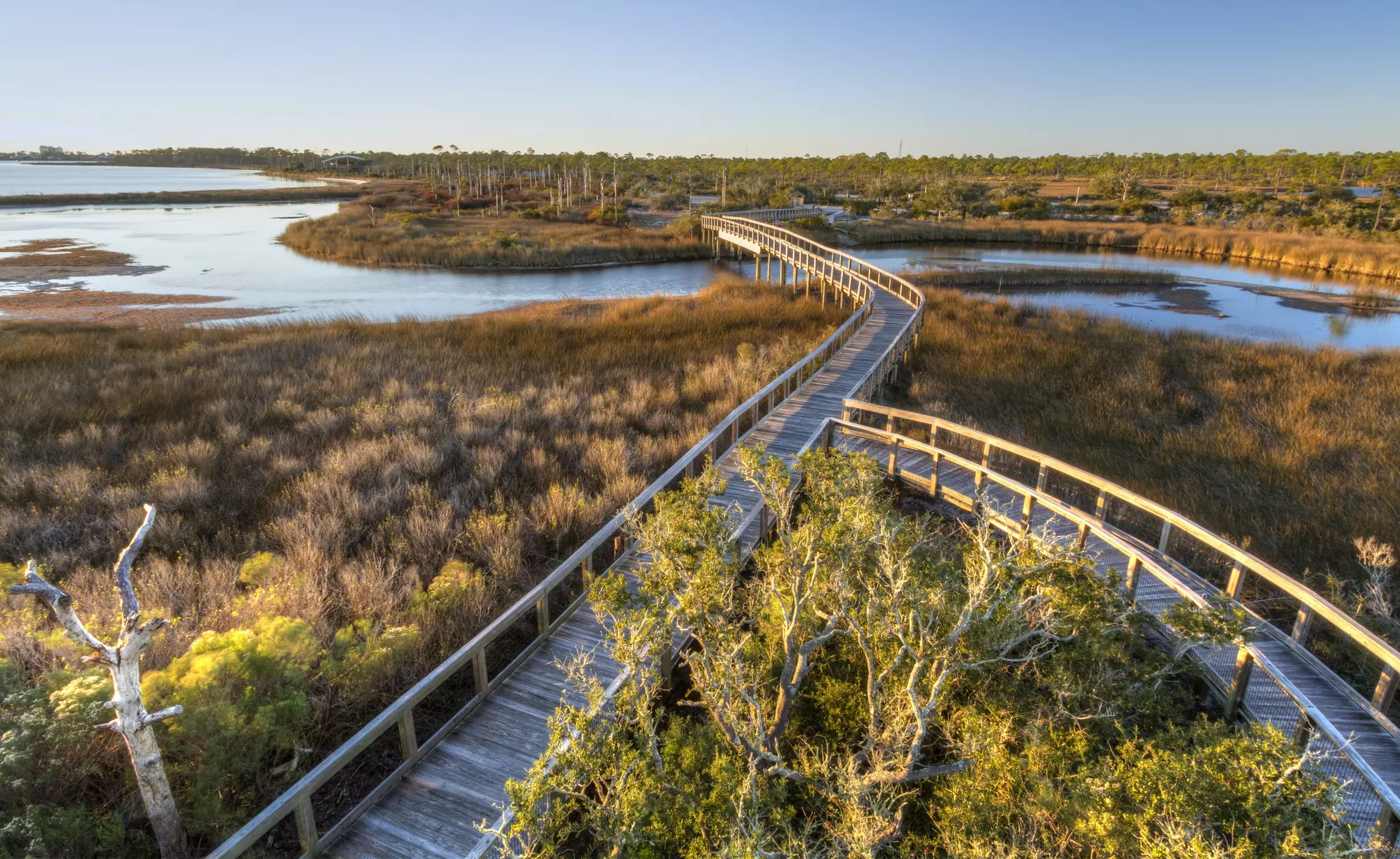 Stretch your legs with a walk across the wetlands of Perdido Key © Colin D. Young / Shutterstock