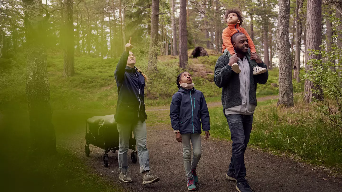 A woman points up at the sky while hiking through the forest with her family