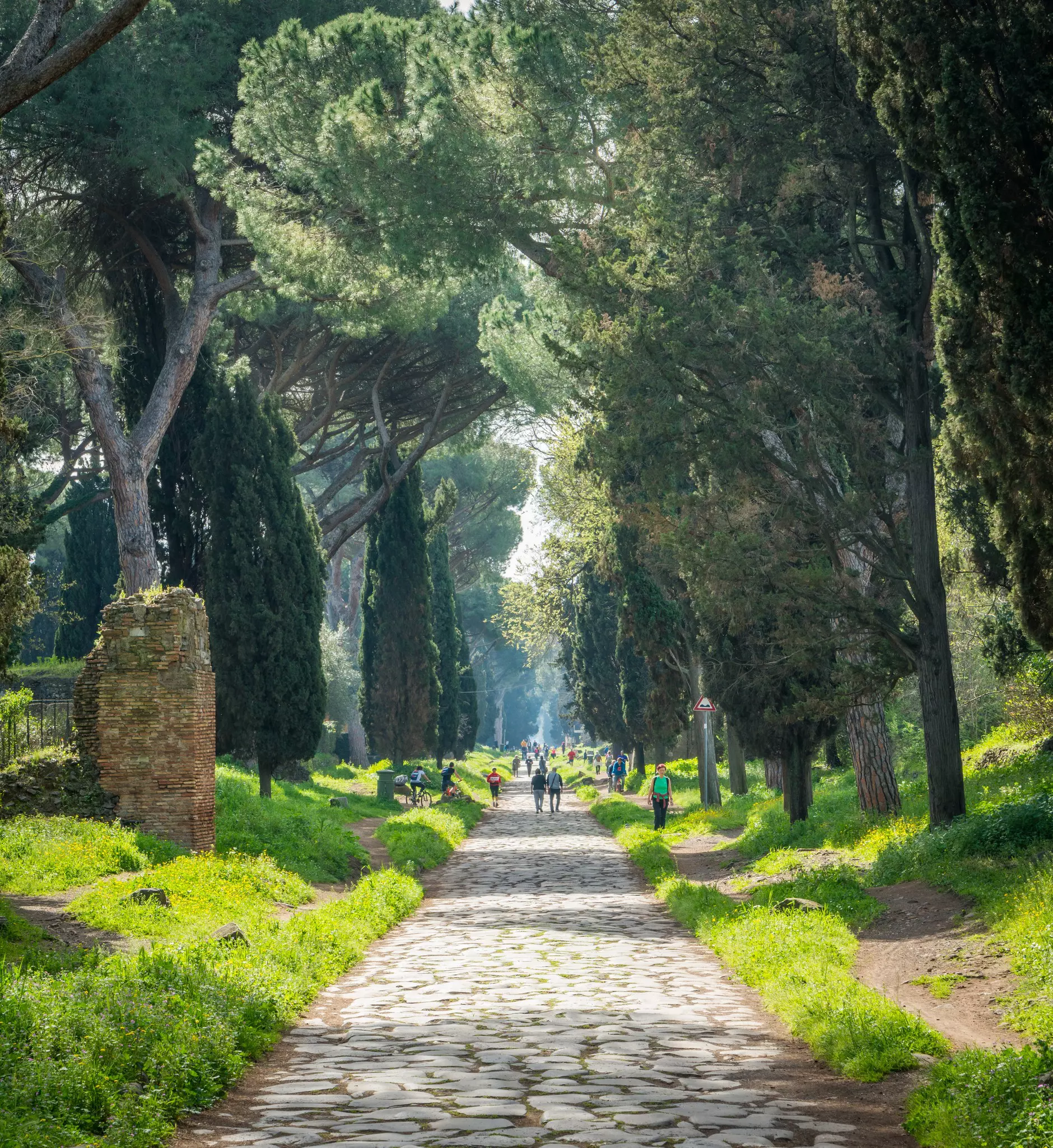 The ancient Appian Way (Appia Antica) on a sunny spring morning, in Rome., License Type: media, Download Time: 2025-03-14T15:39:13.000Z, User: rhylton_redventures, Editorial: false, purchase_order: 56530 - Guidebooks, job: Lonely Planet, client: Lonely Planet App, other: Rhianydd Hylton