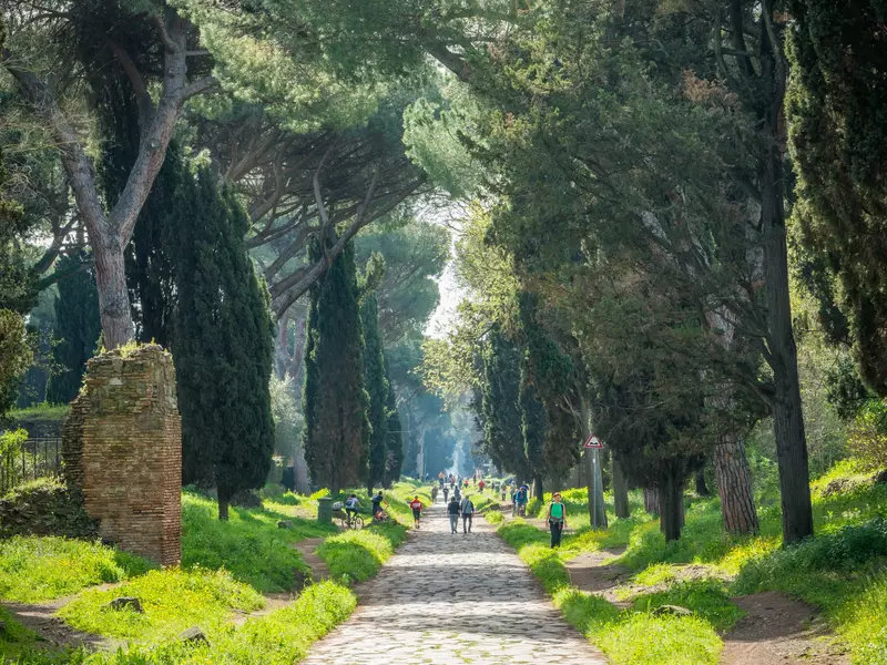 A picturesque road lined with towering cypress trees on a sunny morning.