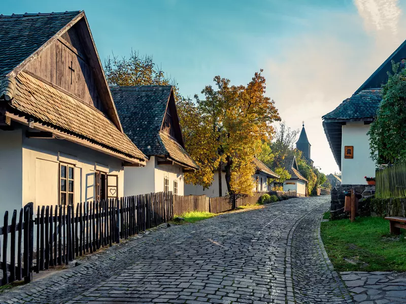 trees with fencing and a path