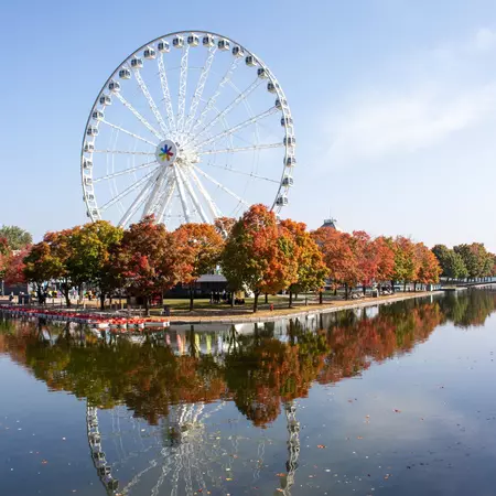 A ferris wheel and autumn trees reflected in water on a sunny day.