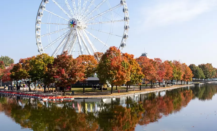 A ferris wheel and autumn trees reflected in water on a sunny day.