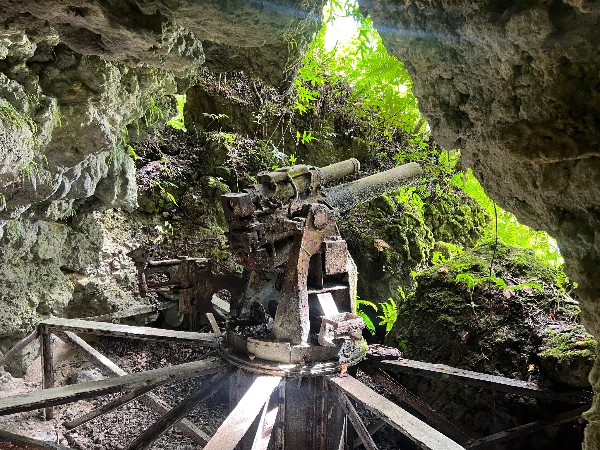 A rusting gun stand faces out through the opening within a cave that's being taken over by the surrounding jungle.