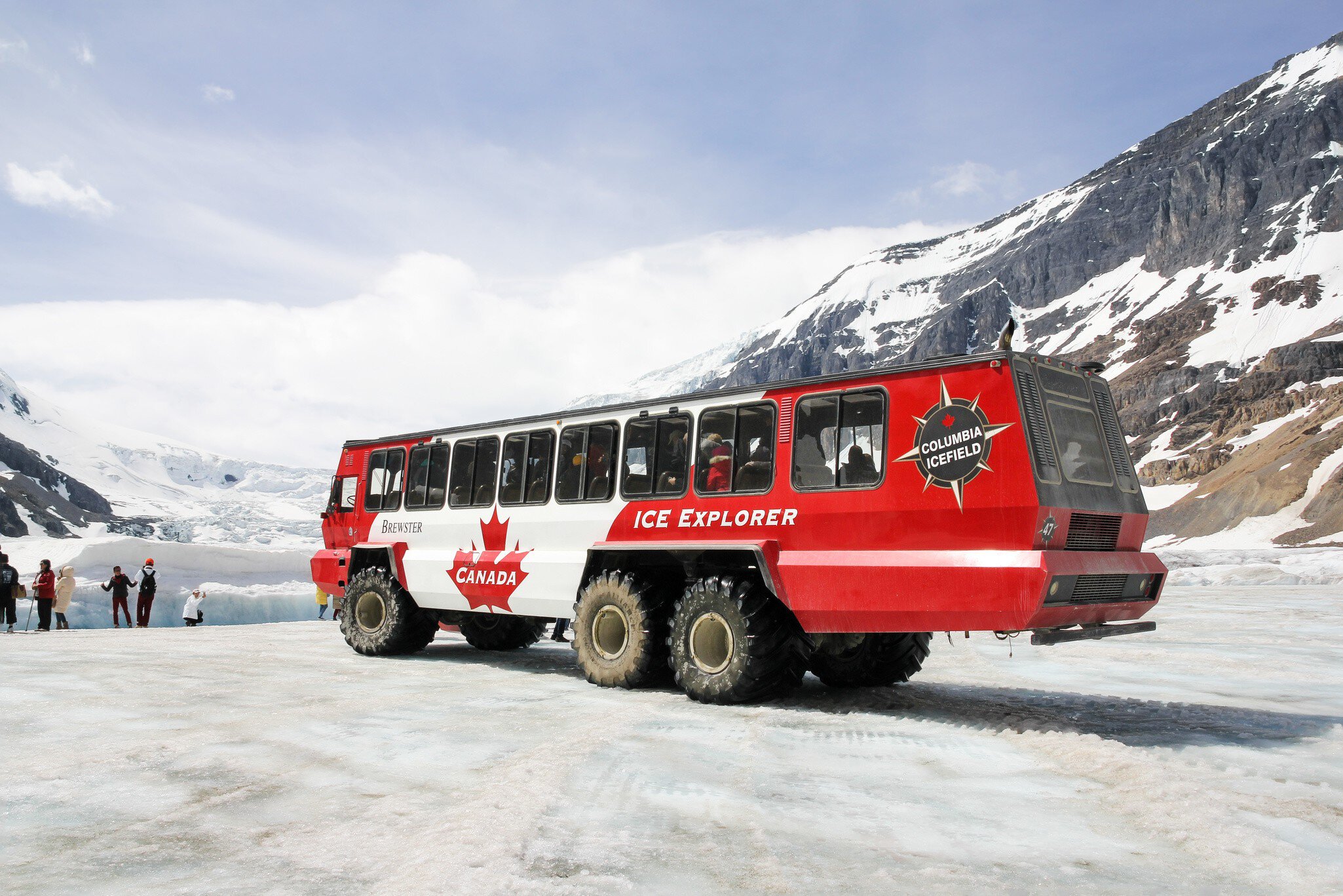 June 7, 2015: The red-white snowcoatch bus carrying tourists to Athabasca Glacier.