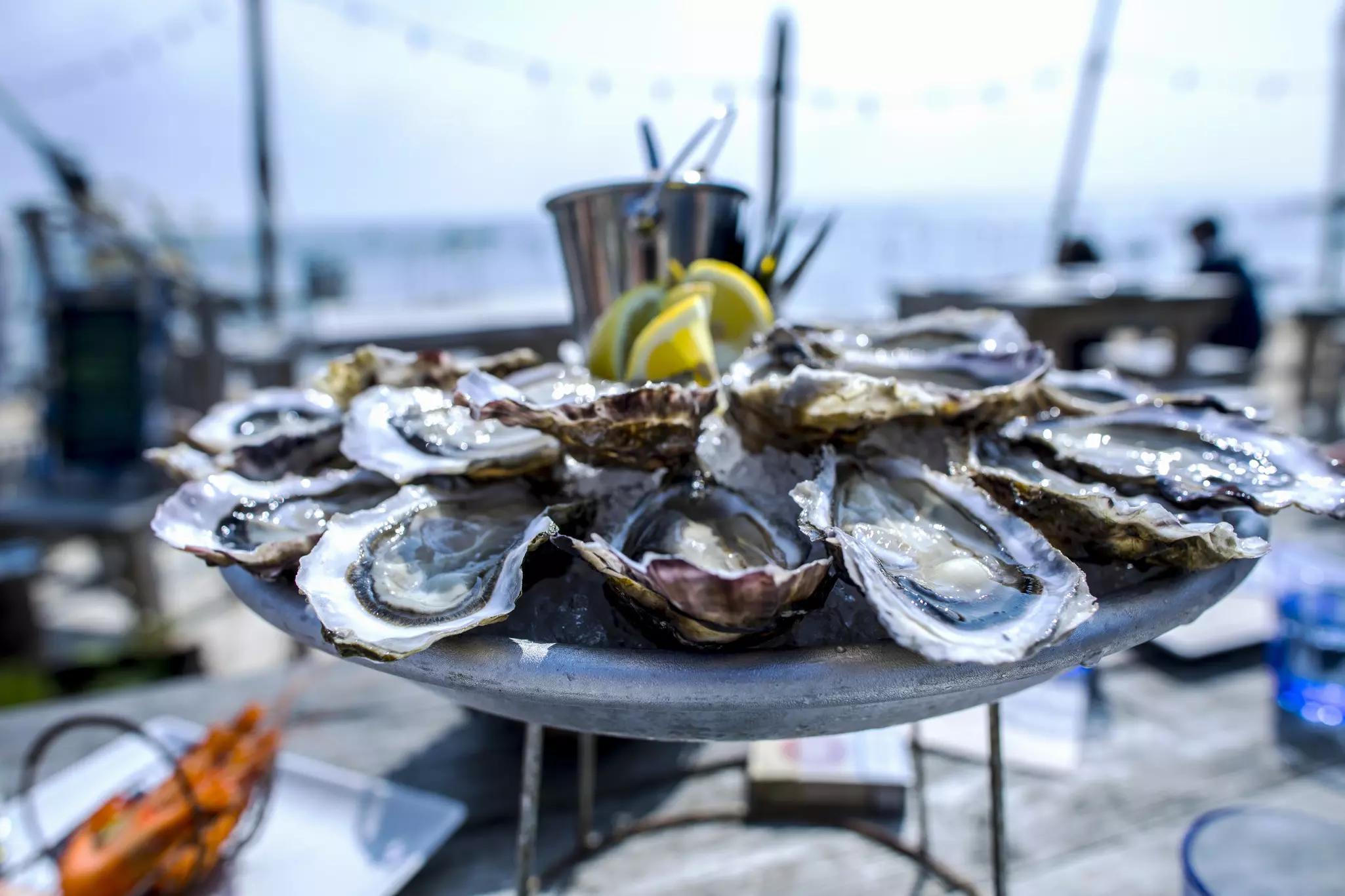 Oyster tray, Cap Ferret France