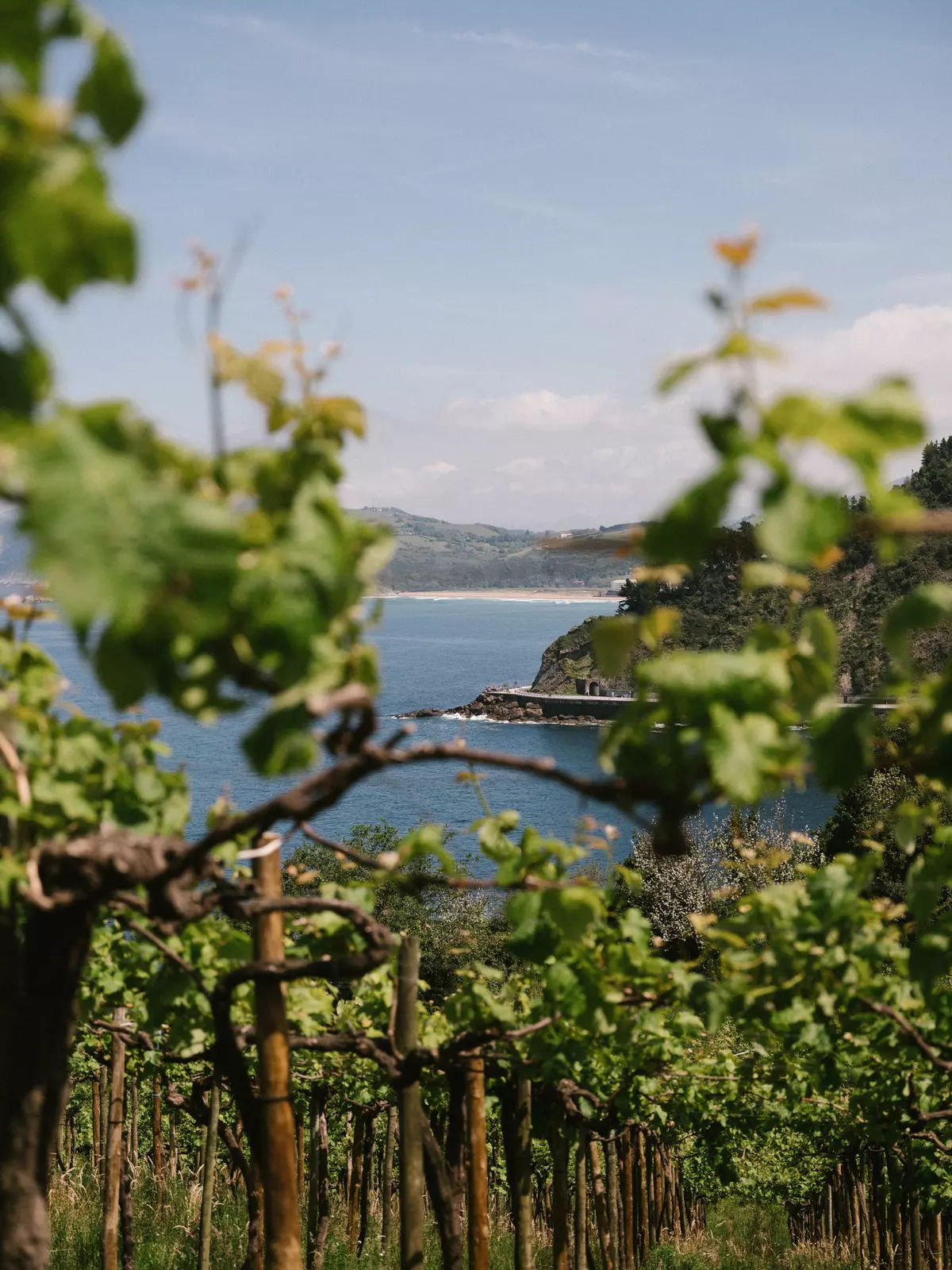 The views from the green hills of Txomin Etxaniz Winery are stunning.