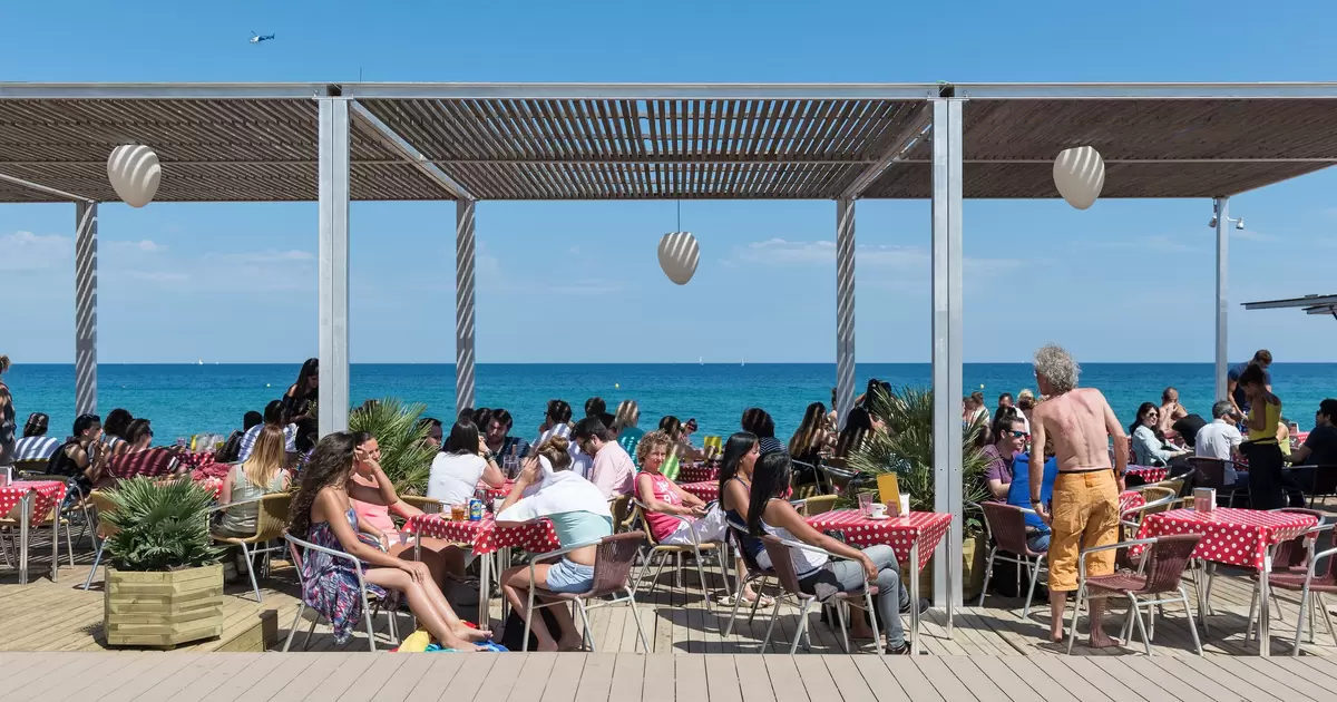 The best neighborhood tapas bars in Barcelona - Lonely Planet