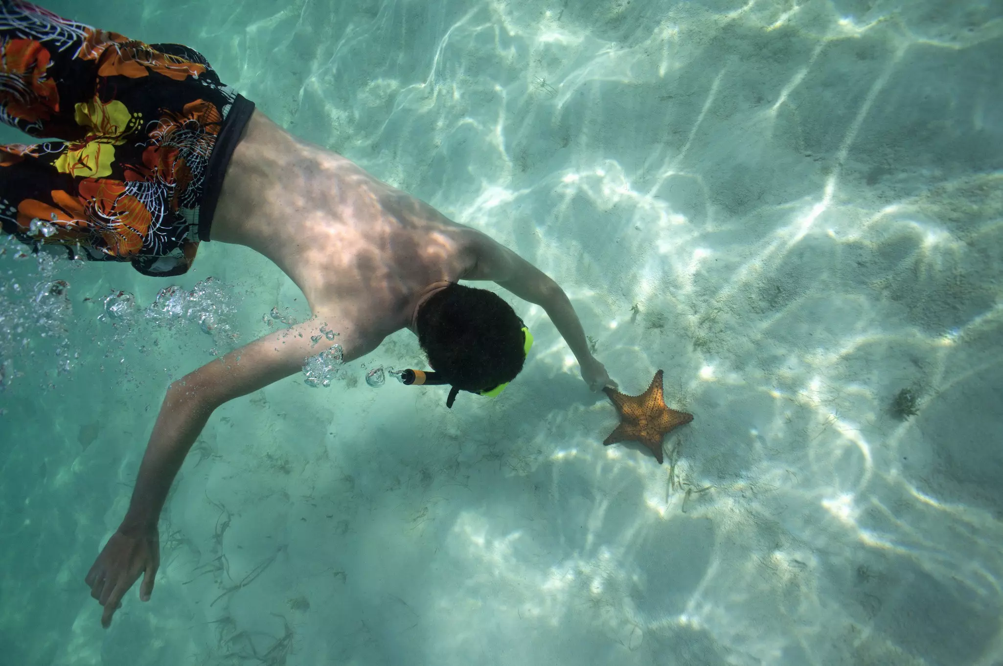 Snorkelling for starfish in Saona island, Dominican Republic