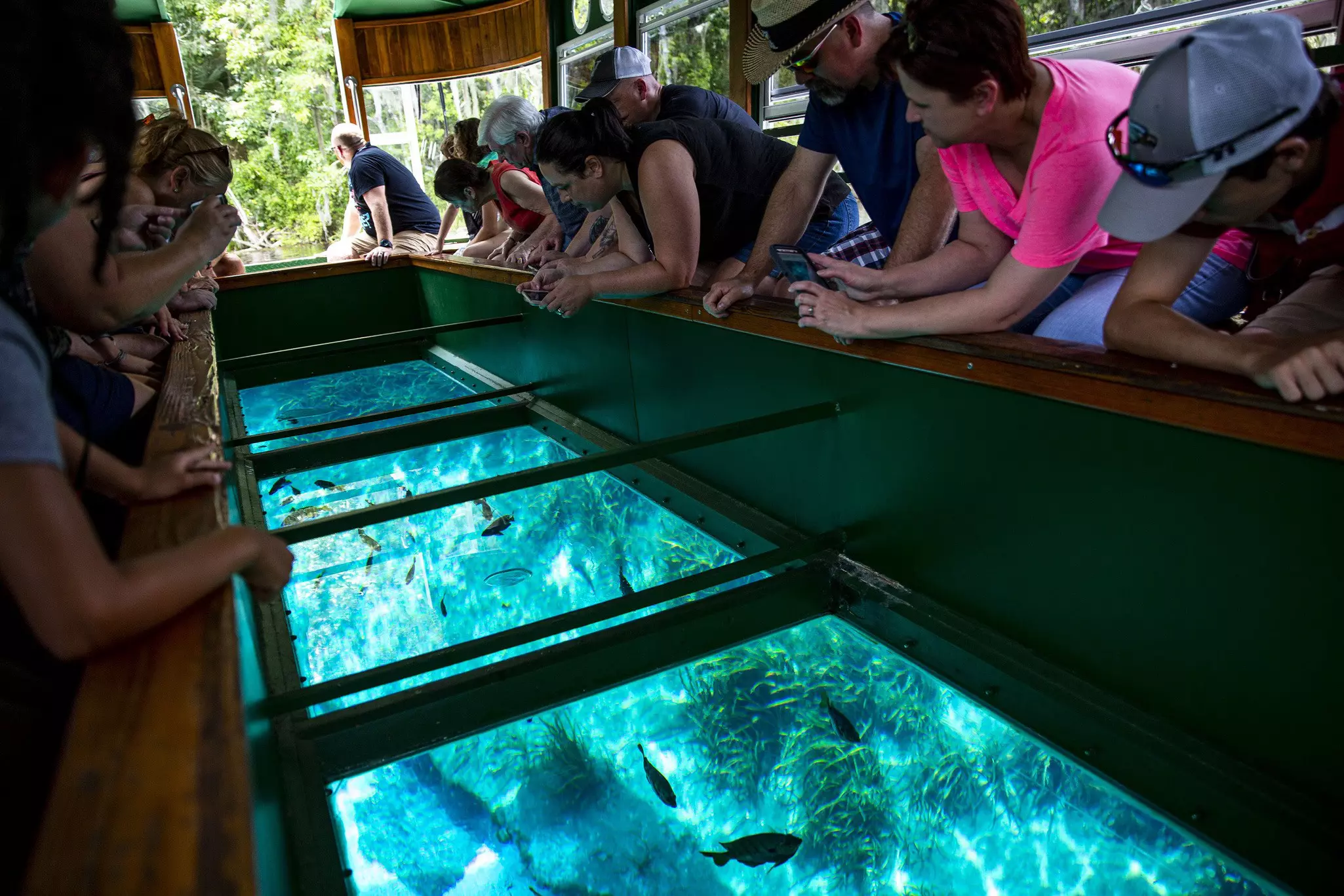 Florida state parks offer a range of fun activities – like Silver Springs State Park’s famous glass-bottomed-boat tours © Patrick Connolly / Orlando Sentinel / Tribune News Service via Getty Images