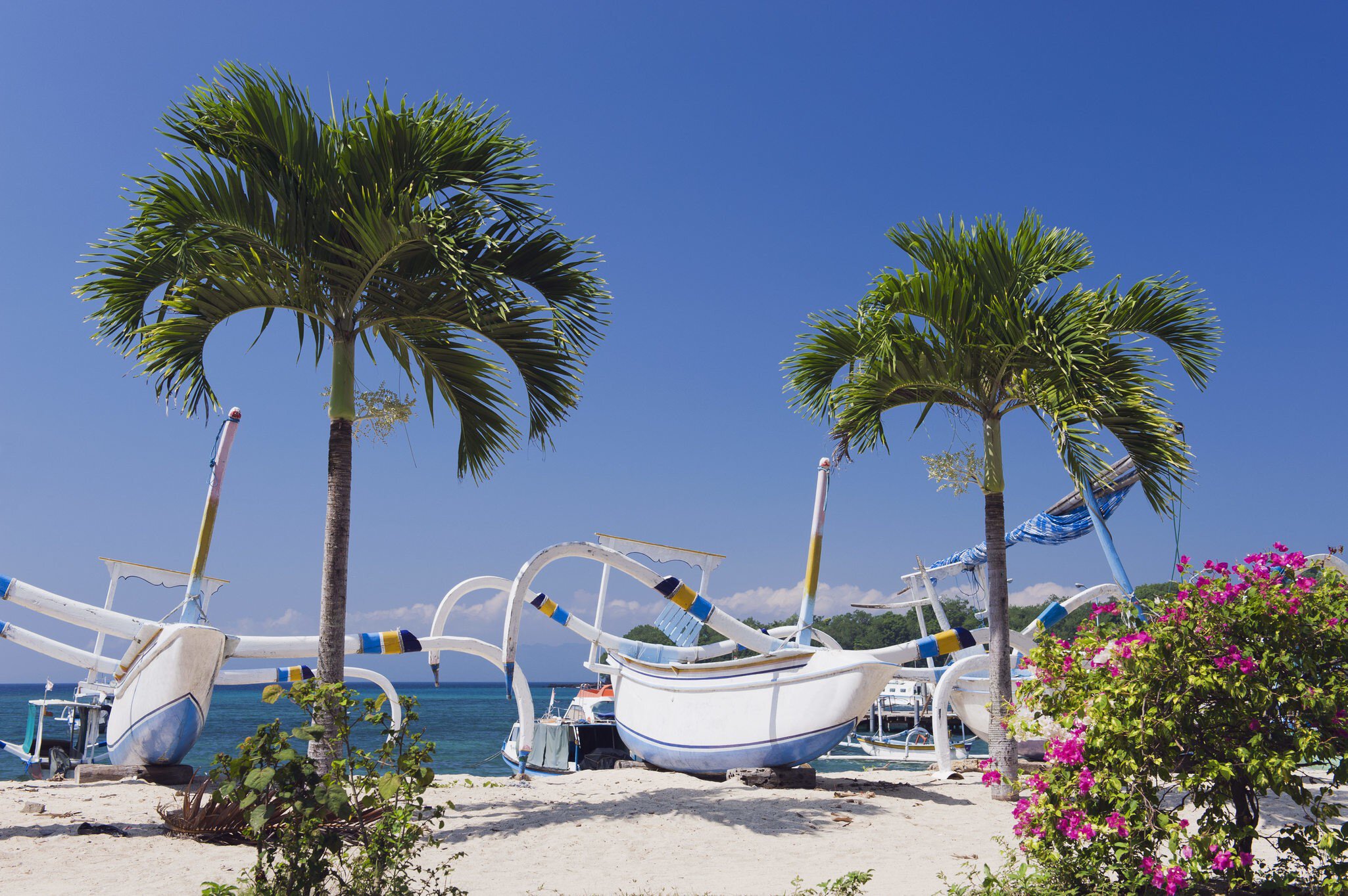 Fishing boats at the palm beach of Padang Bai.