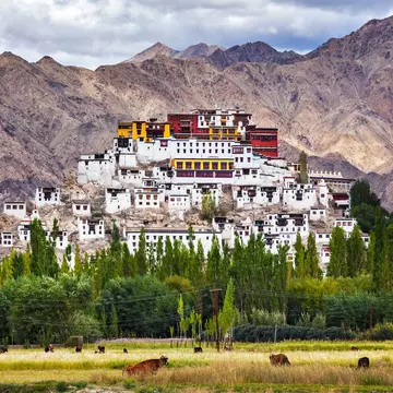 A view of a large Buddhist monastery, with white buildings and a red-and-yellow fortress at the top of a hill. Mountains loom in the distance.