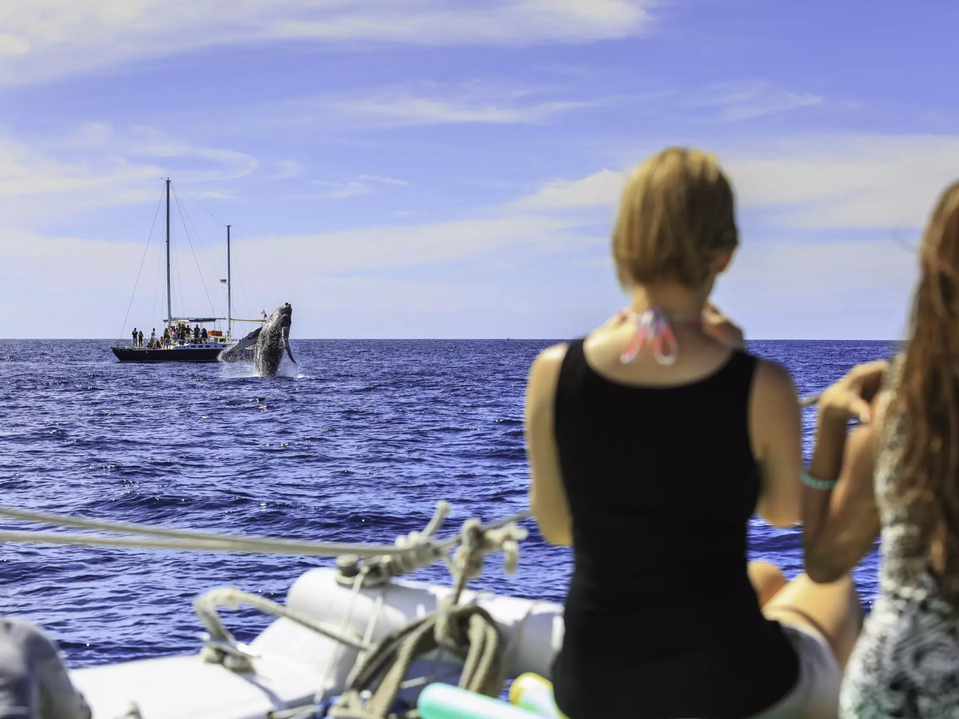 Whale watching in Cabo - adults on snorkel trip aboard Pez Gato, near Cabo San Lucas
