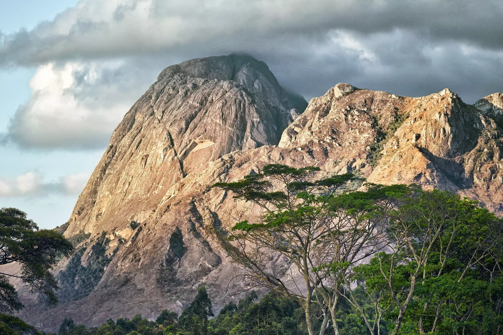 Clouds cling to the rocky outcrops of Mulanje Mountain, which towers about a forest