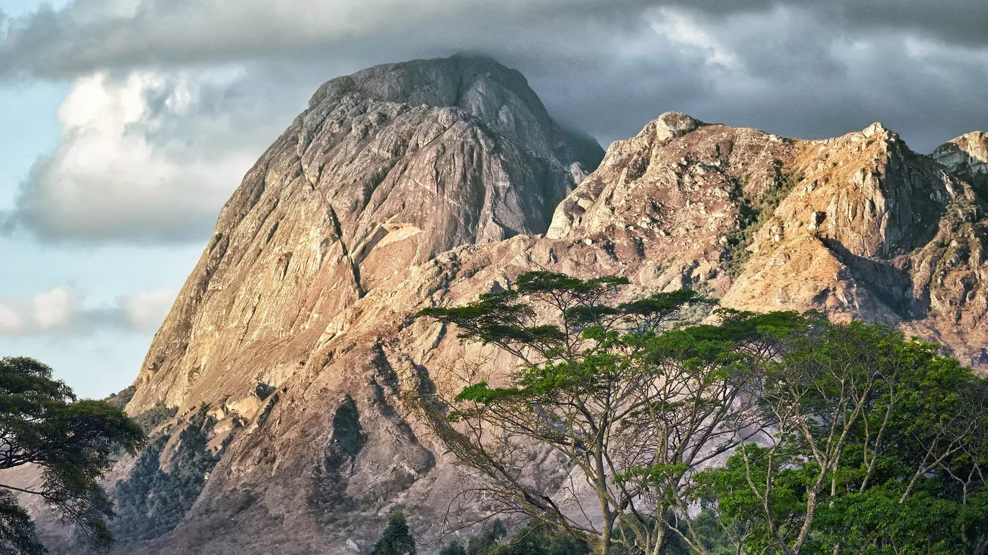 Clouds cling to the rocky outcrops of Mulanje Mountain, which towers about a forest