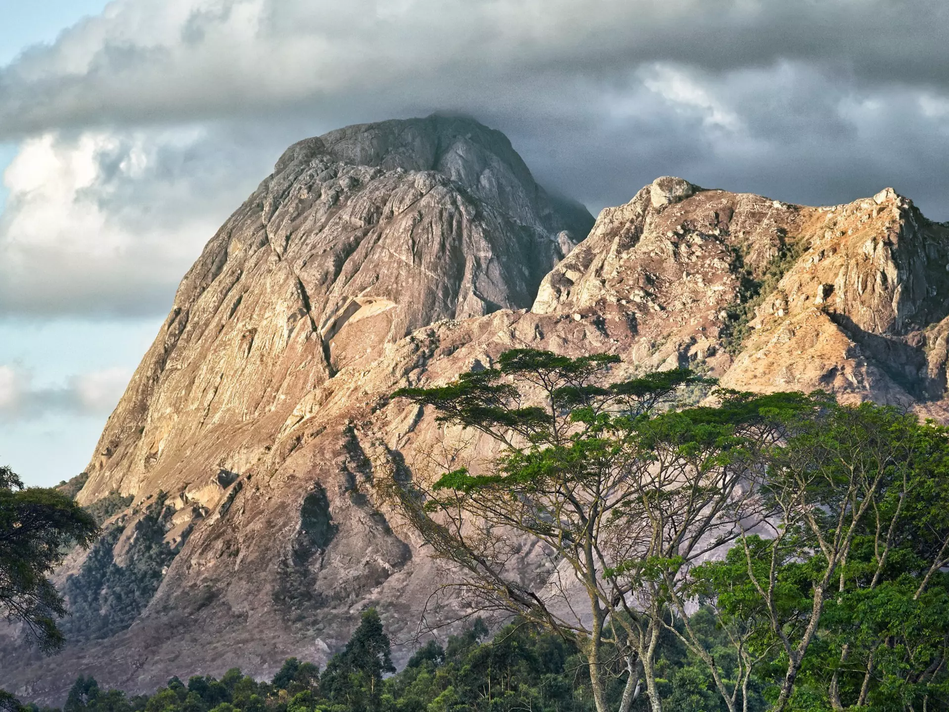 Clouds cling to the rocky outcrops of Mulanje Mountain, which towers about a forest