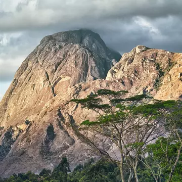 Clouds cling to the rocky outcrops of Mulanje Mountain, which towers about a forest