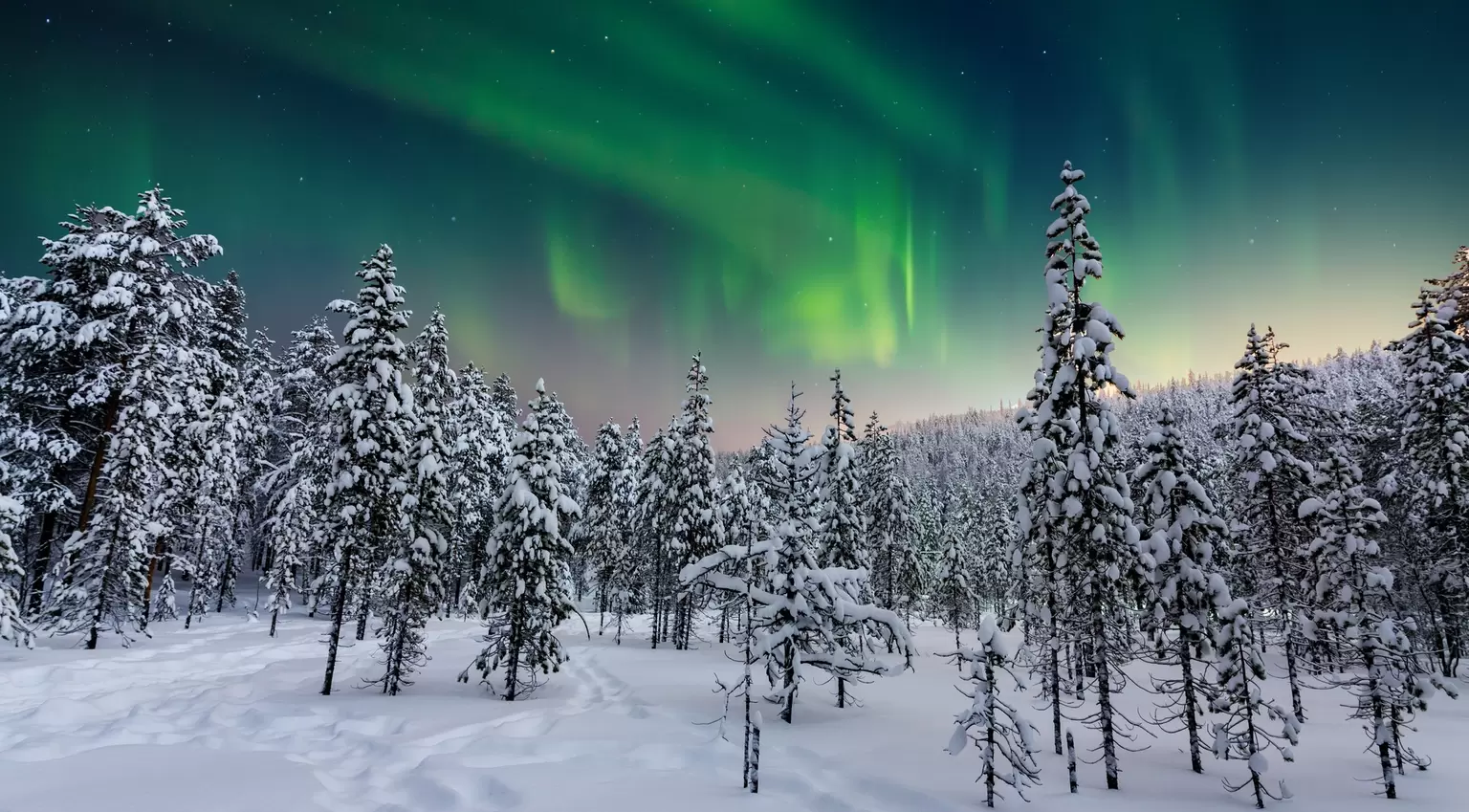 GettyImages-1179501660.jpg
