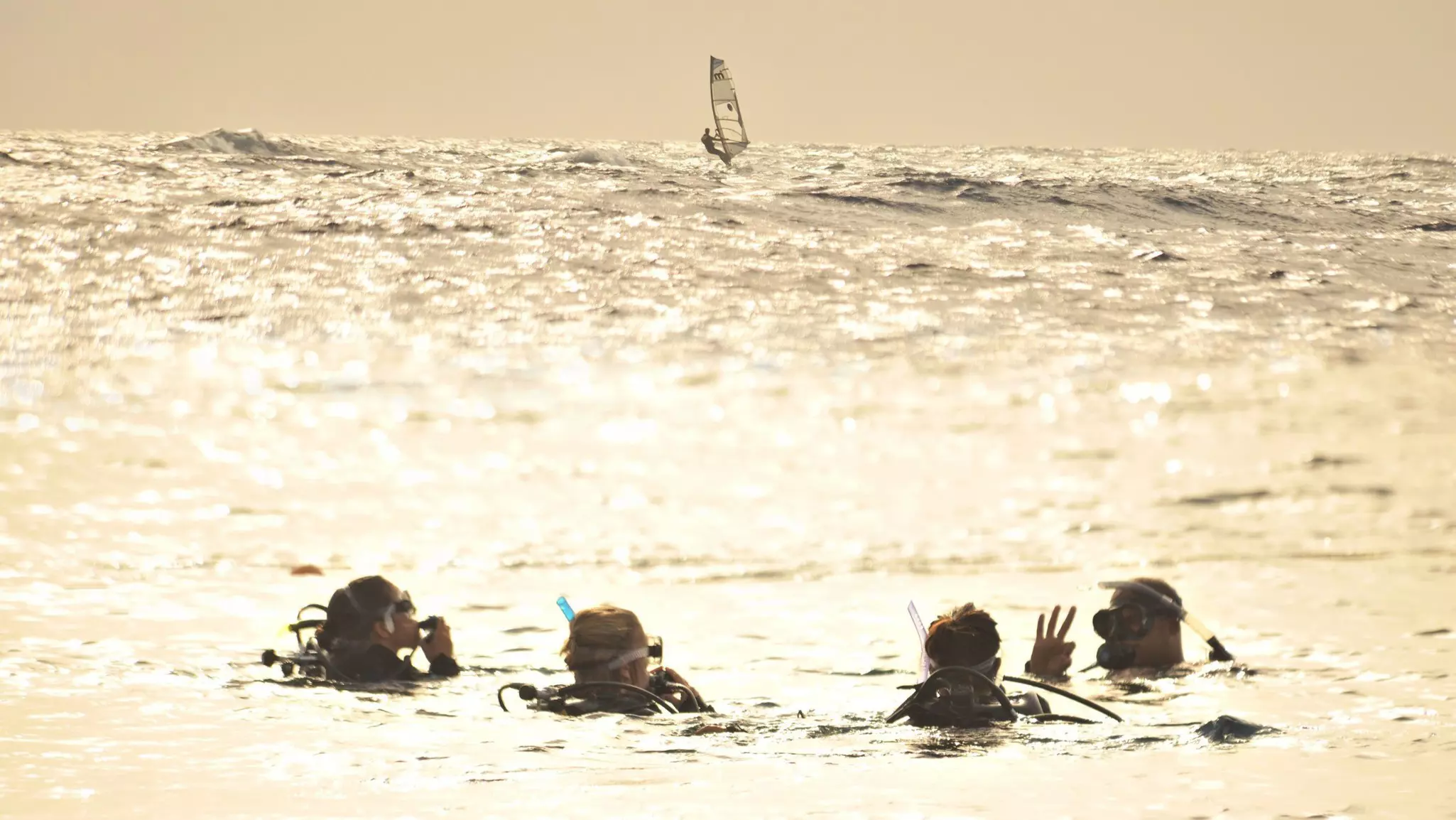 Divers are seen above the surface of the water, which reflects the sun. A windsurfer is seen in the distance.