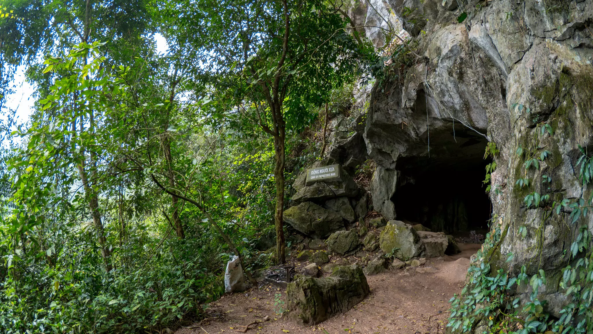 Cave inside Cuc Phuong National Park