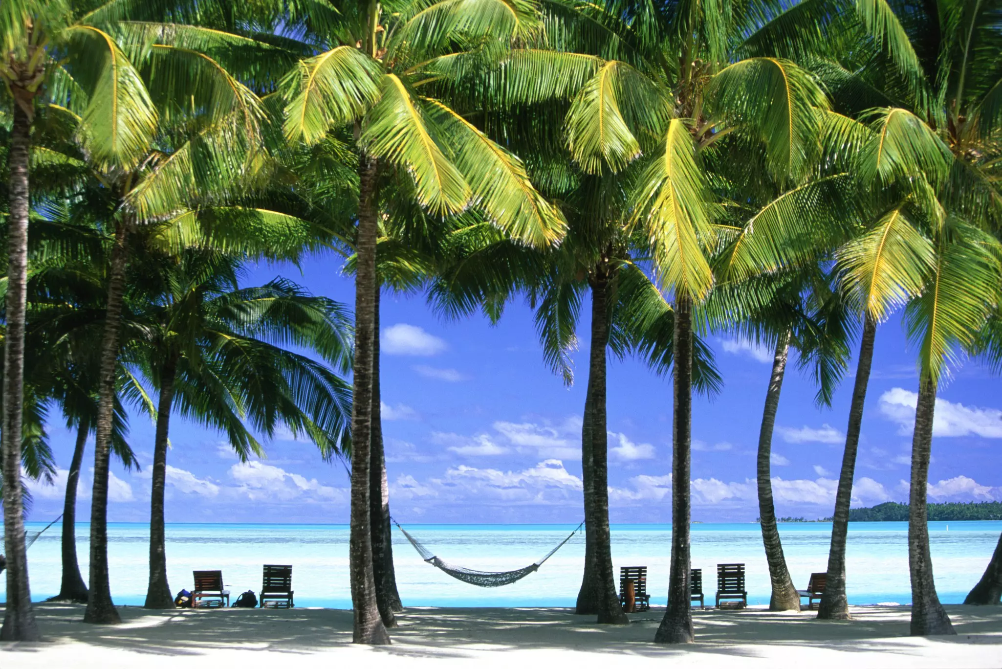 A hammock strung between tall palm trees beside a turquoise lagoon.