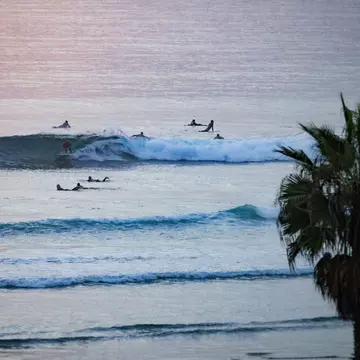 Surfers at Cardiff State Beach in Cardiff by the Sea, San Diego, California, USA.
1083806462
