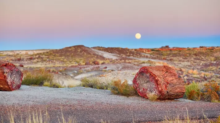 Petrified Forest National Park is the only National Park along Route 66.
usa, vibrant, arizona, log, nature, painted desert, supermoon, yellow, t