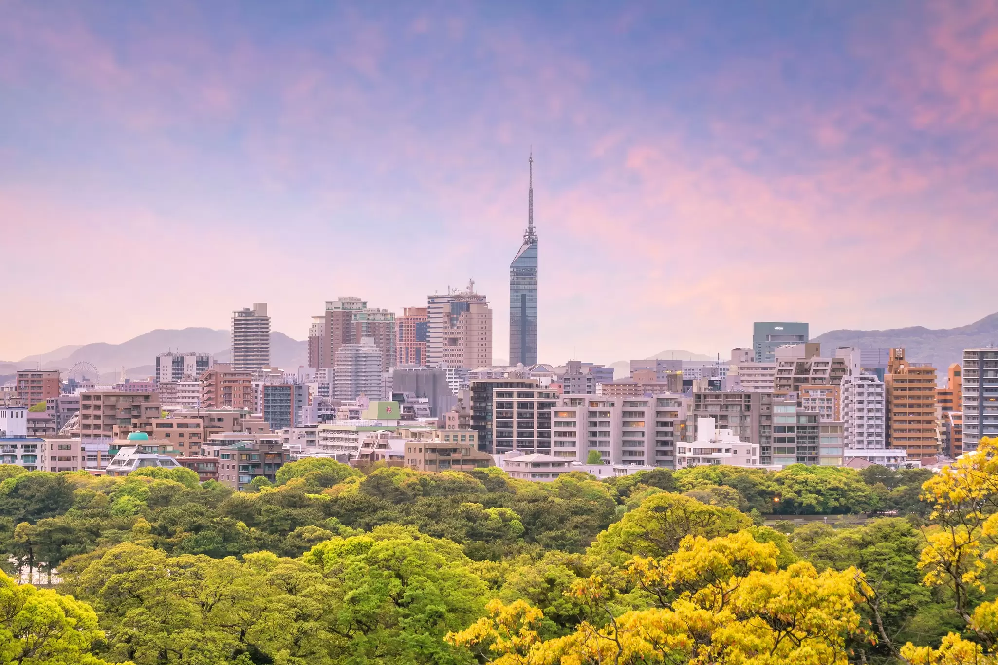A tower stands tall among other high-rise buildings in a city skyline: Fukuoka, Japan