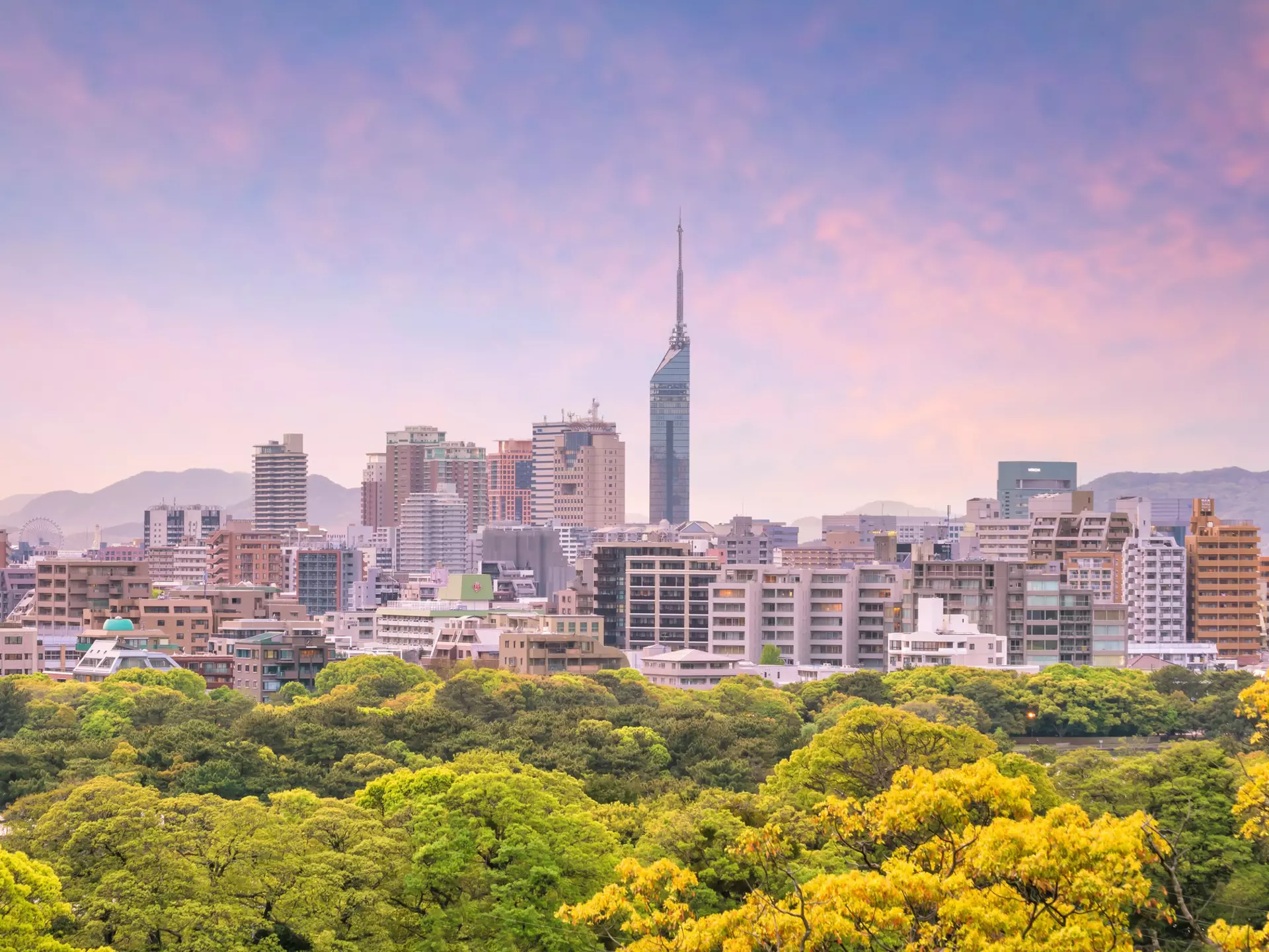 Lively Fukuoka is surrounded by serene landscapes. f11photo / Getty Images