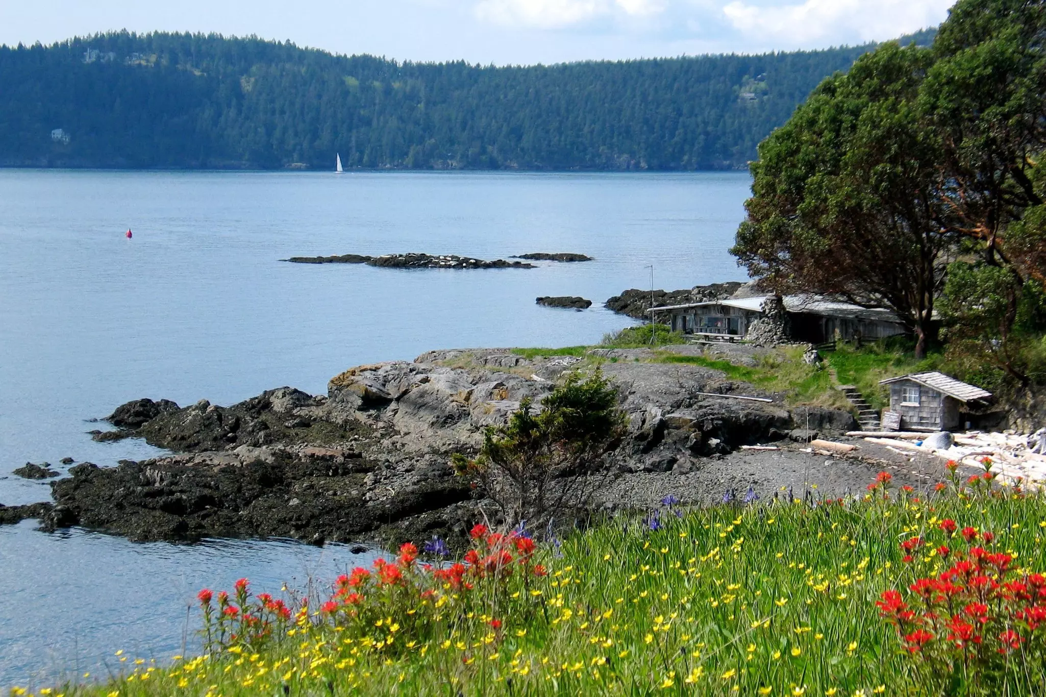 Cabin on the shore in San Juan Islands, Washington