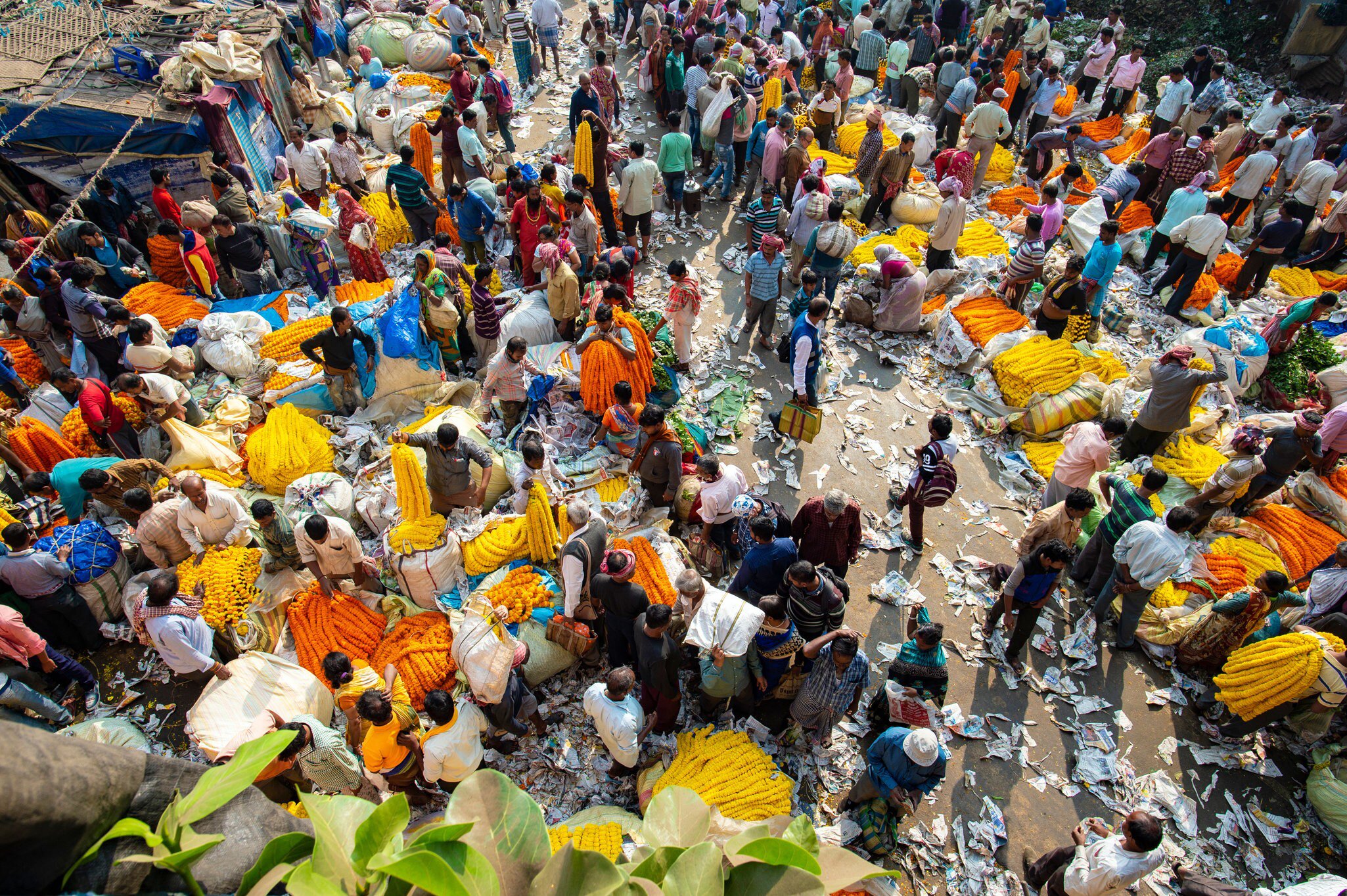 Overhead view of customers and traders at the huge Mullik Ghat Flower Market. Kolkata, West Bengal, India.