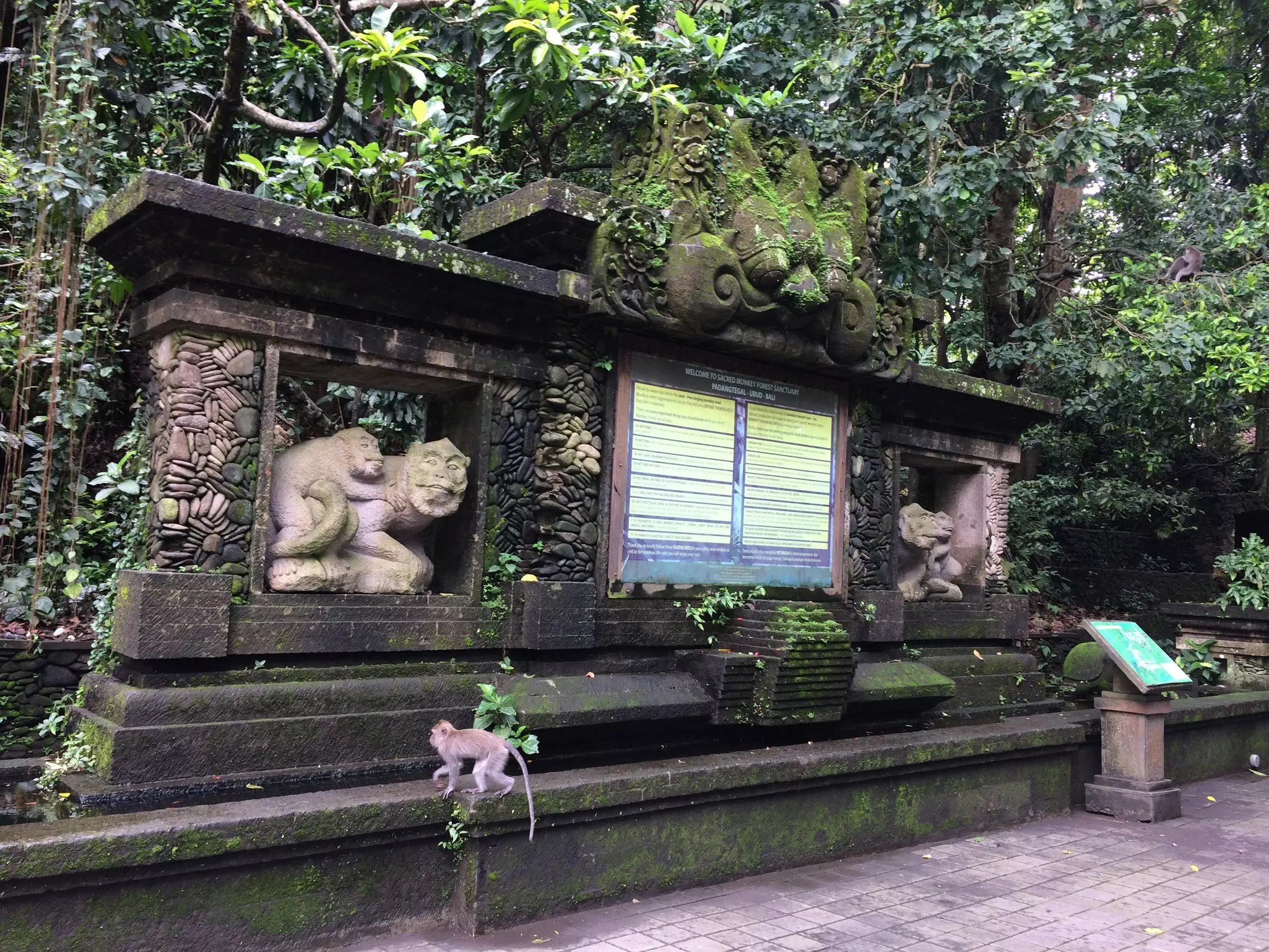 Sacred Monkey Forest Sanctuary