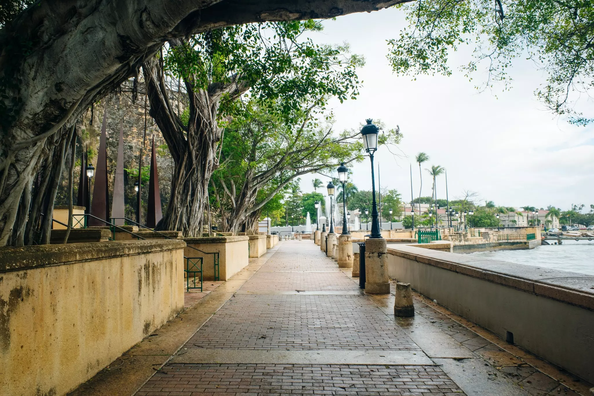 brick path with trees overhead and lined with street lamps