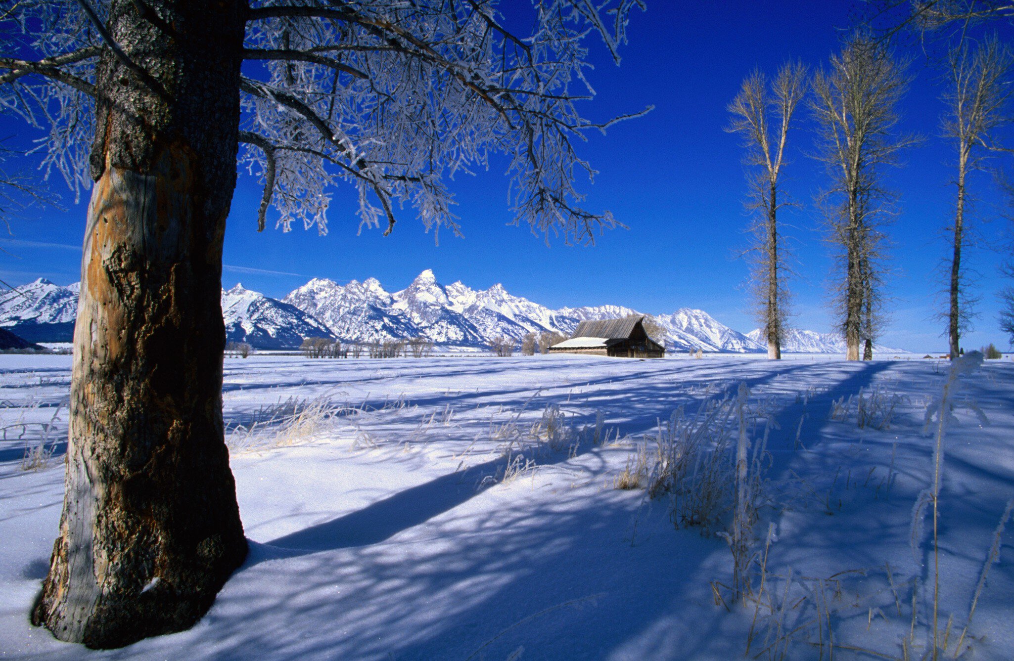 Historic Moulton Ranch, Mormon Row.