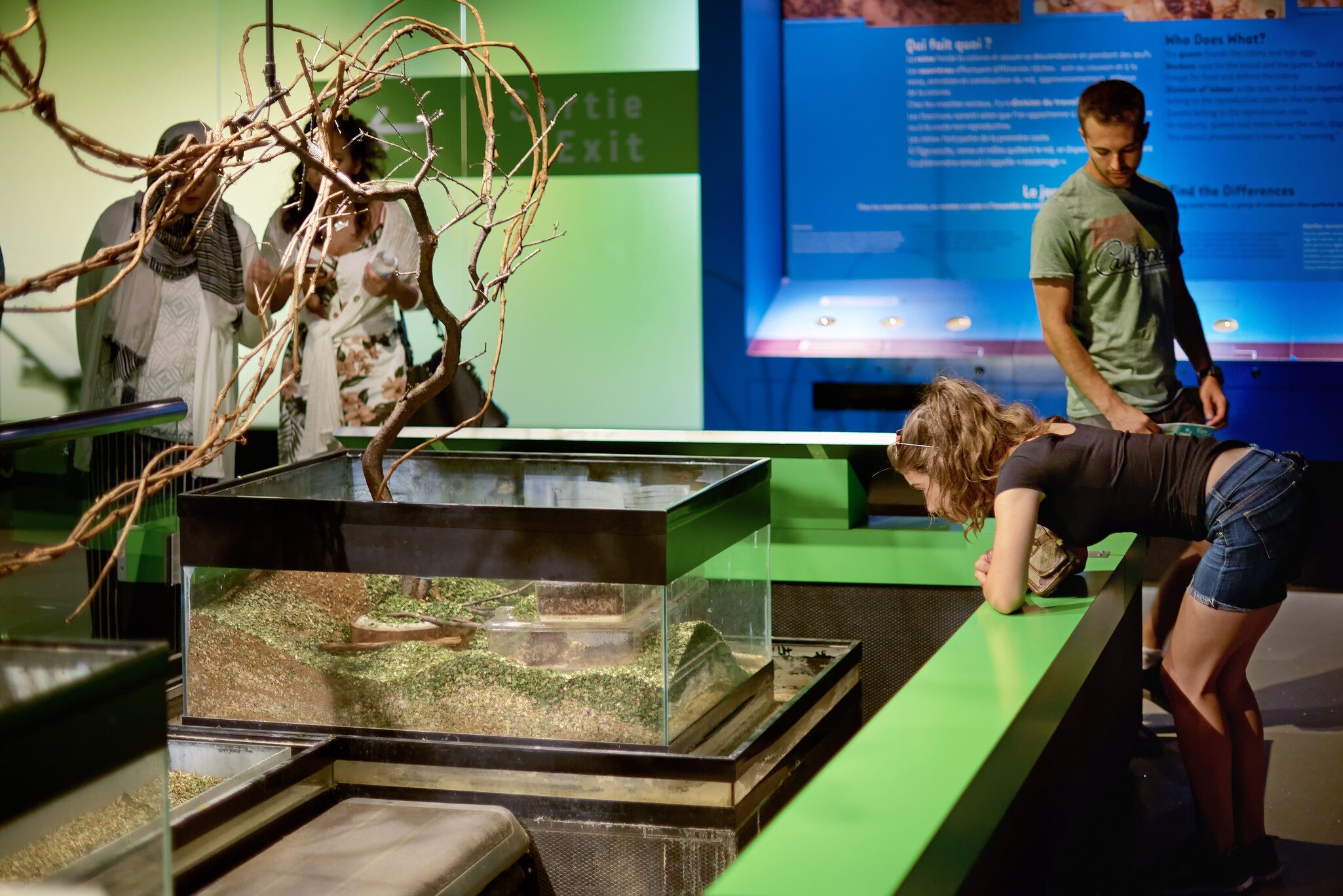 MONTREAL, CANADA, September 5, 2018: Insectarium, in a botanical garden with visitors who watch and photograph insects., License Type: media, Download Time: 2026-09-15T15:27:37.000Z, User: LP_NZhan, Editorial: true, purchase_order: 65050 - Digital Destinations and Articles, job: App Content, client: Lonely Planet App, other: Nadine Zhan 