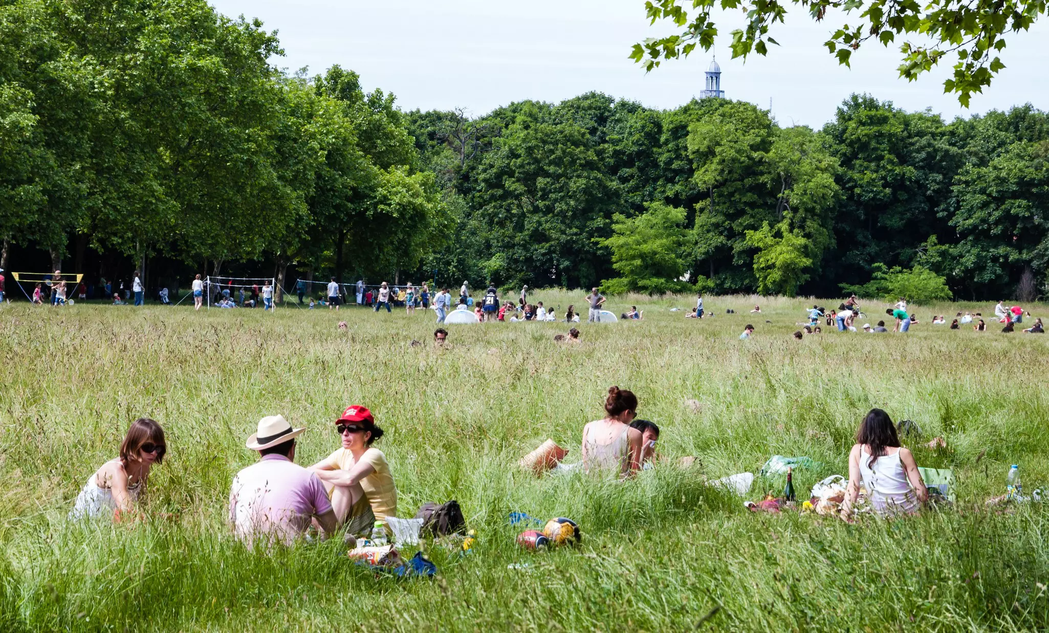 People sitting in tall grass in a park in Paris.