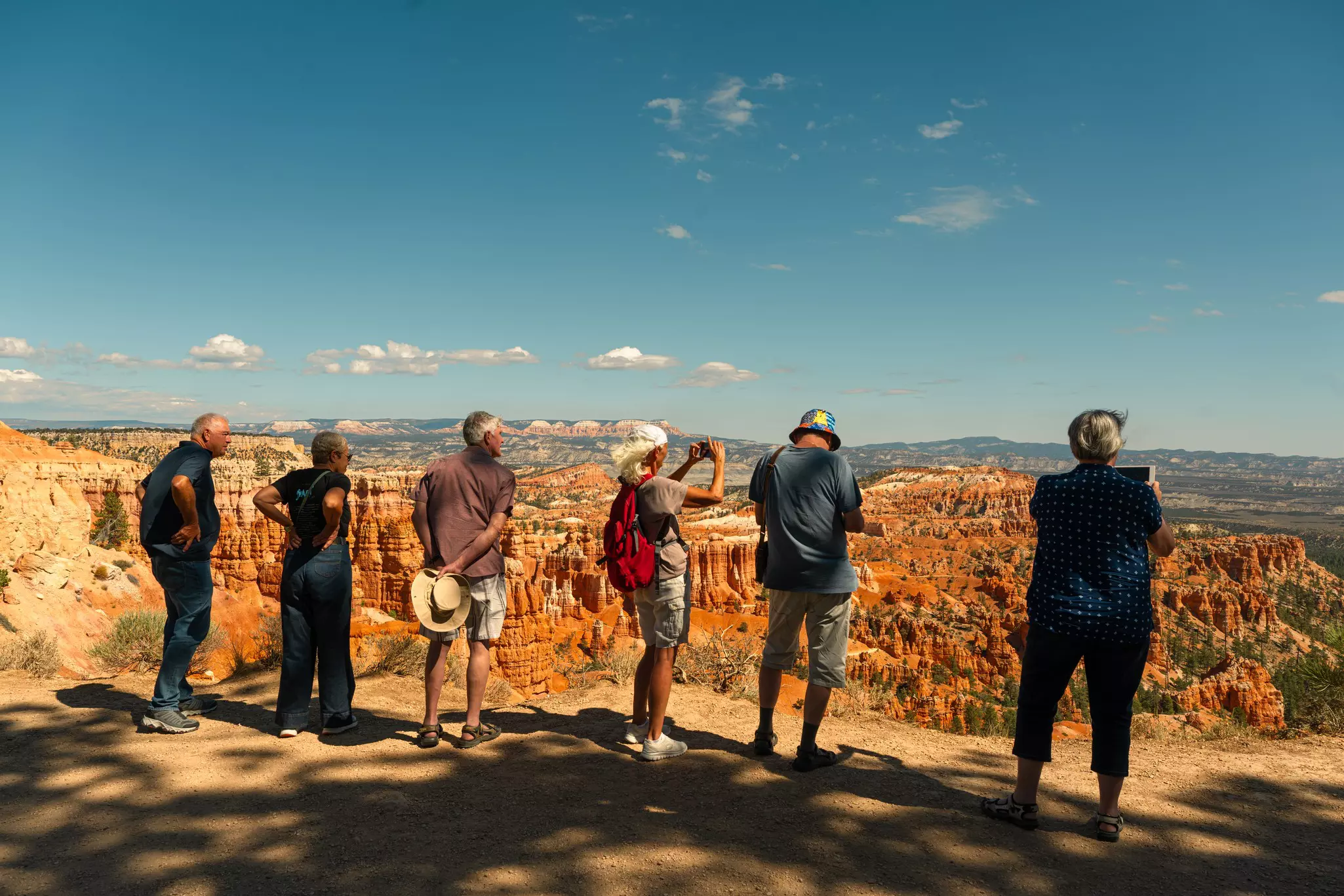Six people standing at the edge of a canyon in a park