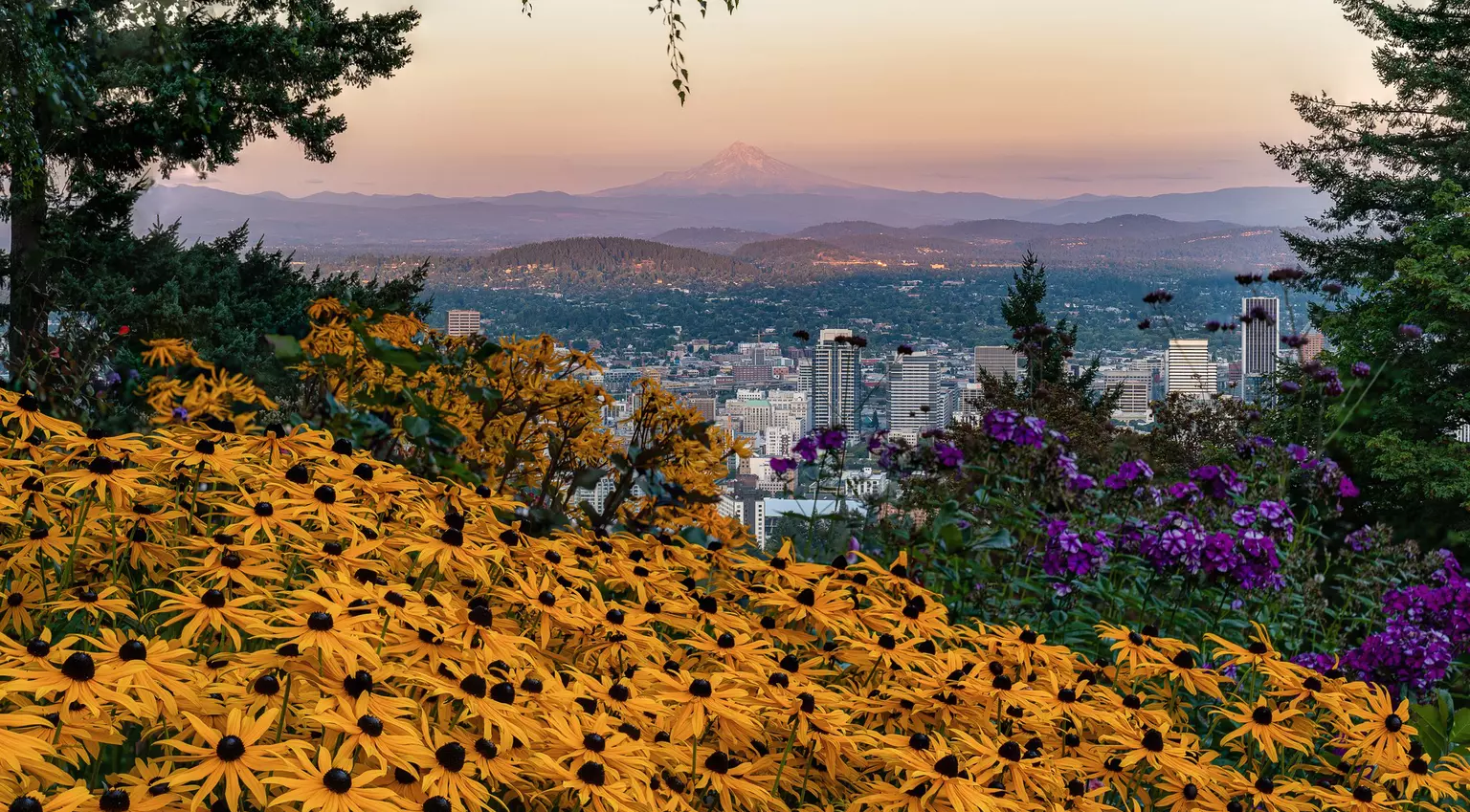 Downtown Portland, Oregon with Mount Hood in the background as seen from the Pittock Mansion viewpoint.