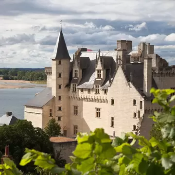 Aerial view of Castle Montsoreau in Loire Valley, France.