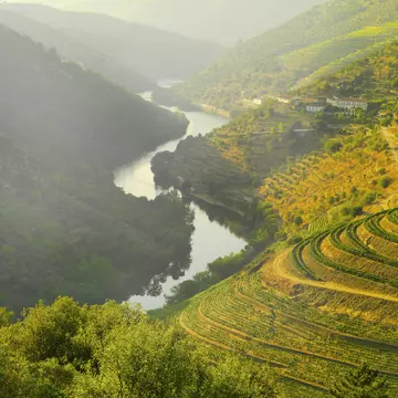 Golden sunlight on the terraced vineyards of the Douro Valley. Shaun Egan/Getty Images