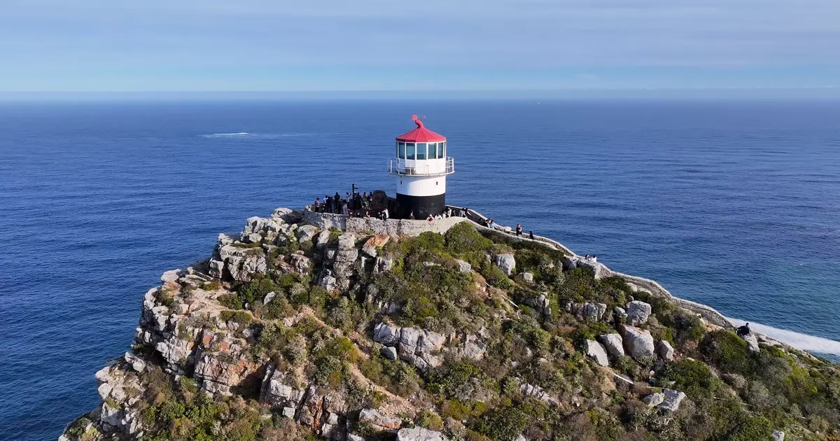 The best time to visit Cape Town for whale watching, wildflowers ...