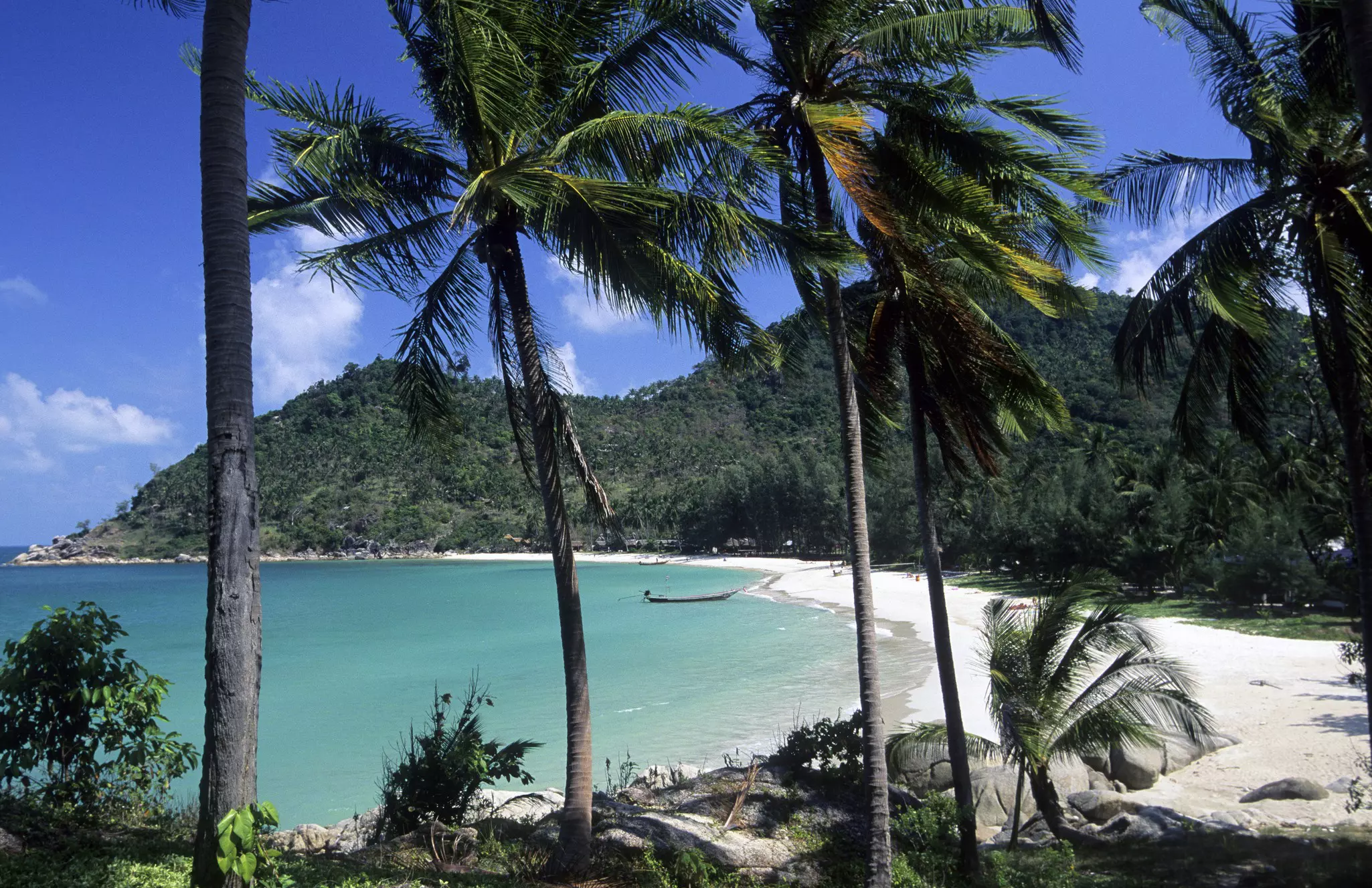 Palm trees give way to a sandy stretch of beach backed by jungle-covered hills.