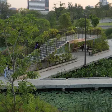 Bangkok, Thailand-February 4, 2024:People at Bangkok Forest Park (Benjakitti Forest Park) locates in the central part of Bangkok. It’s also a new tourist attraction. , License Type: media, Download Time: 2025-05-28T10:04:32.000Z, User: lonelyplanetmedia, Editorial: true, purchase_order: 65050 - Digital Destinations and Articles, job: Global Publishing WIP, client: Global Publishing WIP, other: Peterson Haggarty // SS Comp Ingestion