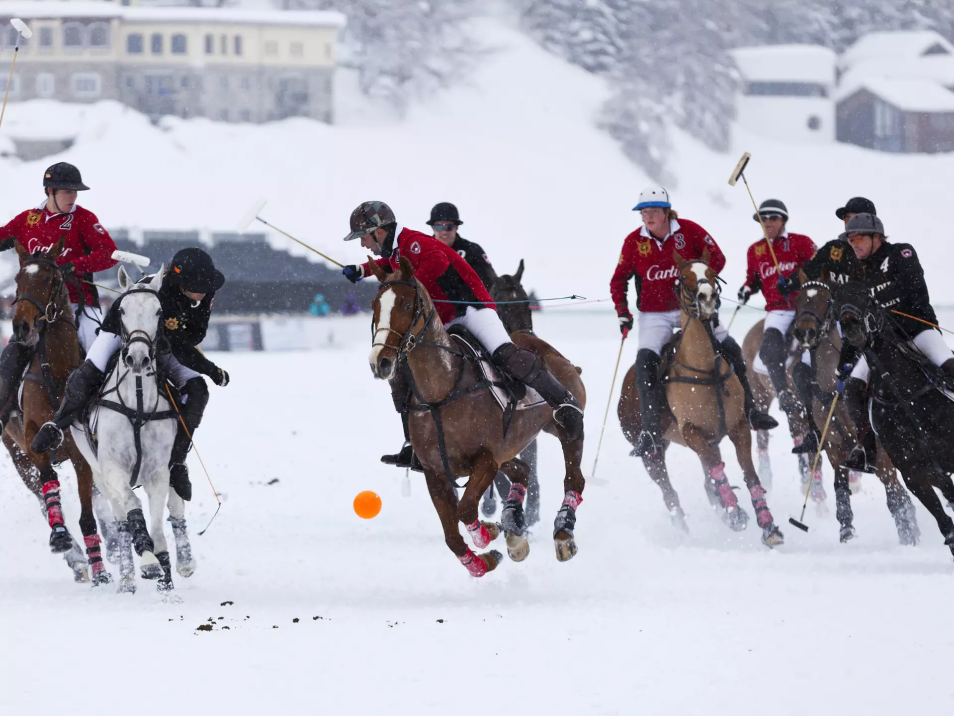 Snow Polo is just as glamorous in the winter months. Stockwerk / Getty Images