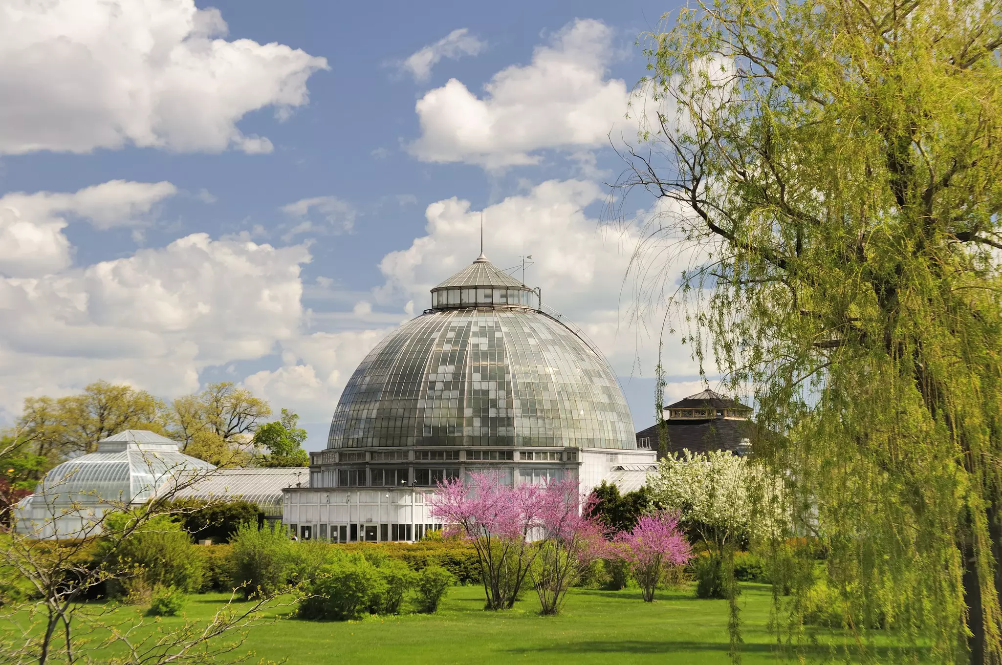 Conservatory building with a large grass lawn in front that has a weeping green tree, pink and whiteblooming trees and shrubbery on a sunny day with some clouds in the sky.