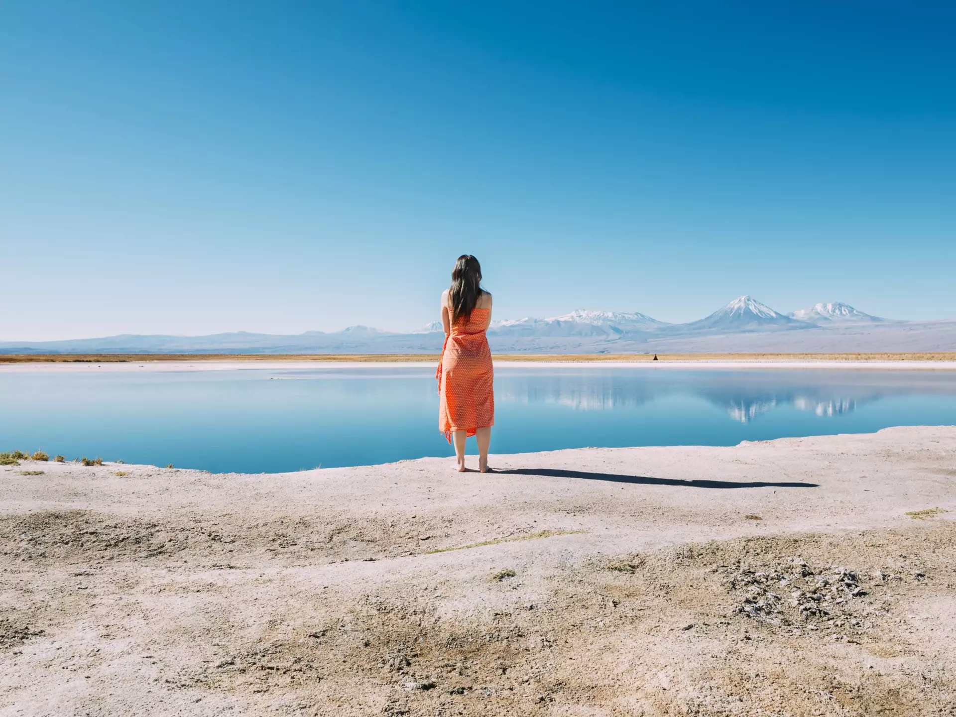 Chile, Atacama Desert, back view of woman standing on edge of Laguna Cejar. Westend61 / Getty Images