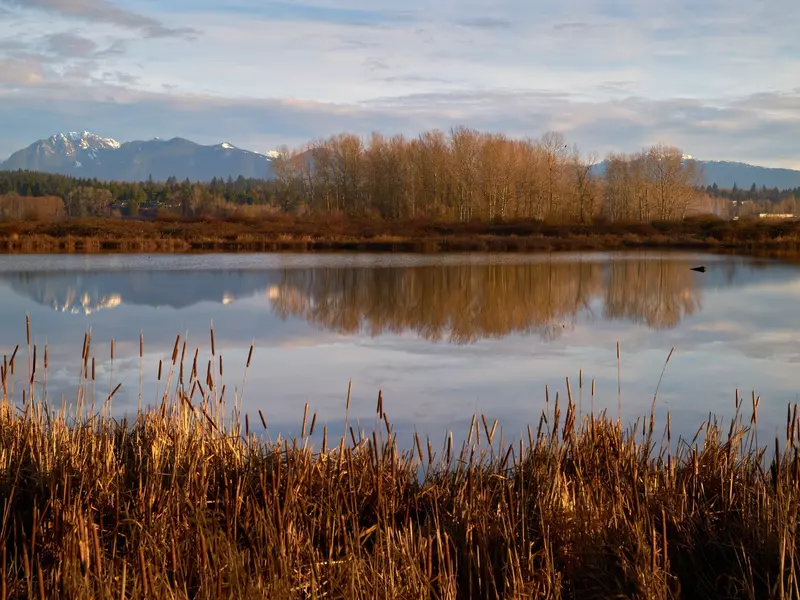 Iona Beach Regional Park Pond. The pond and marsh in Iona Beach Regional Park. 