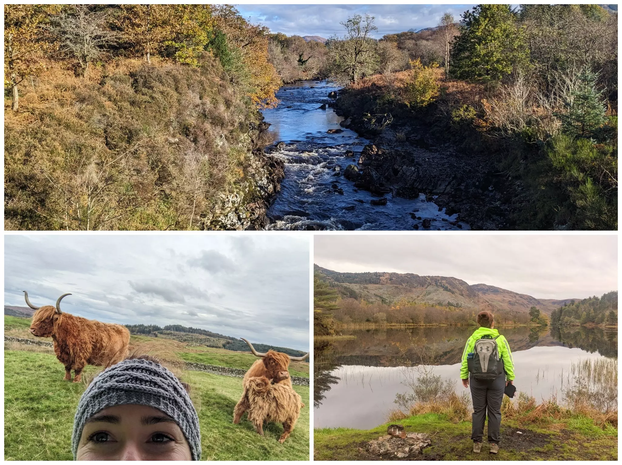 Amy takes in the sights and gentle sounds of Galloway National Park (and makes some new friends along the way) © Amy Lynch