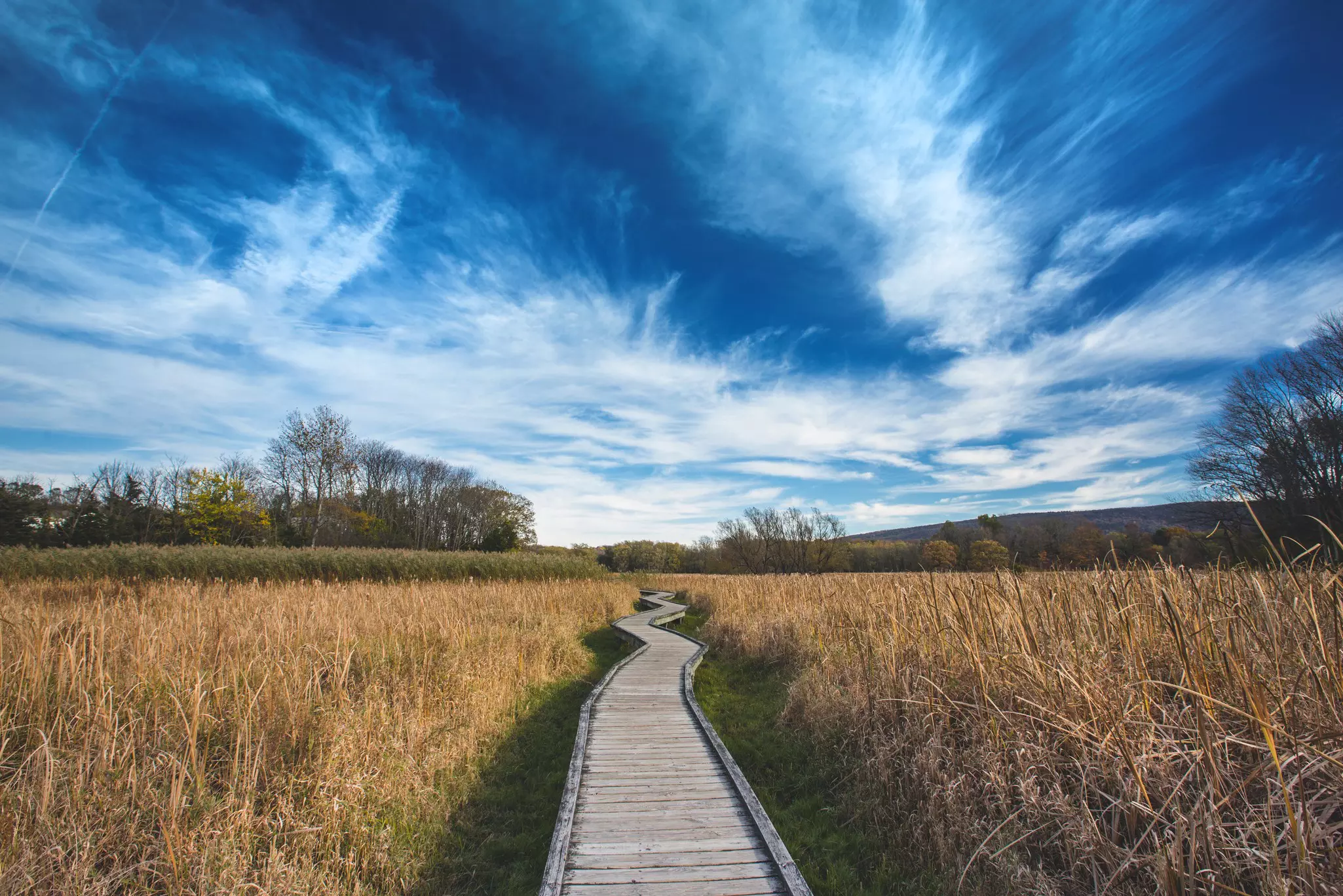 Appalachian Trail Boardwalk in Vernon, NJ, in Sussex County.