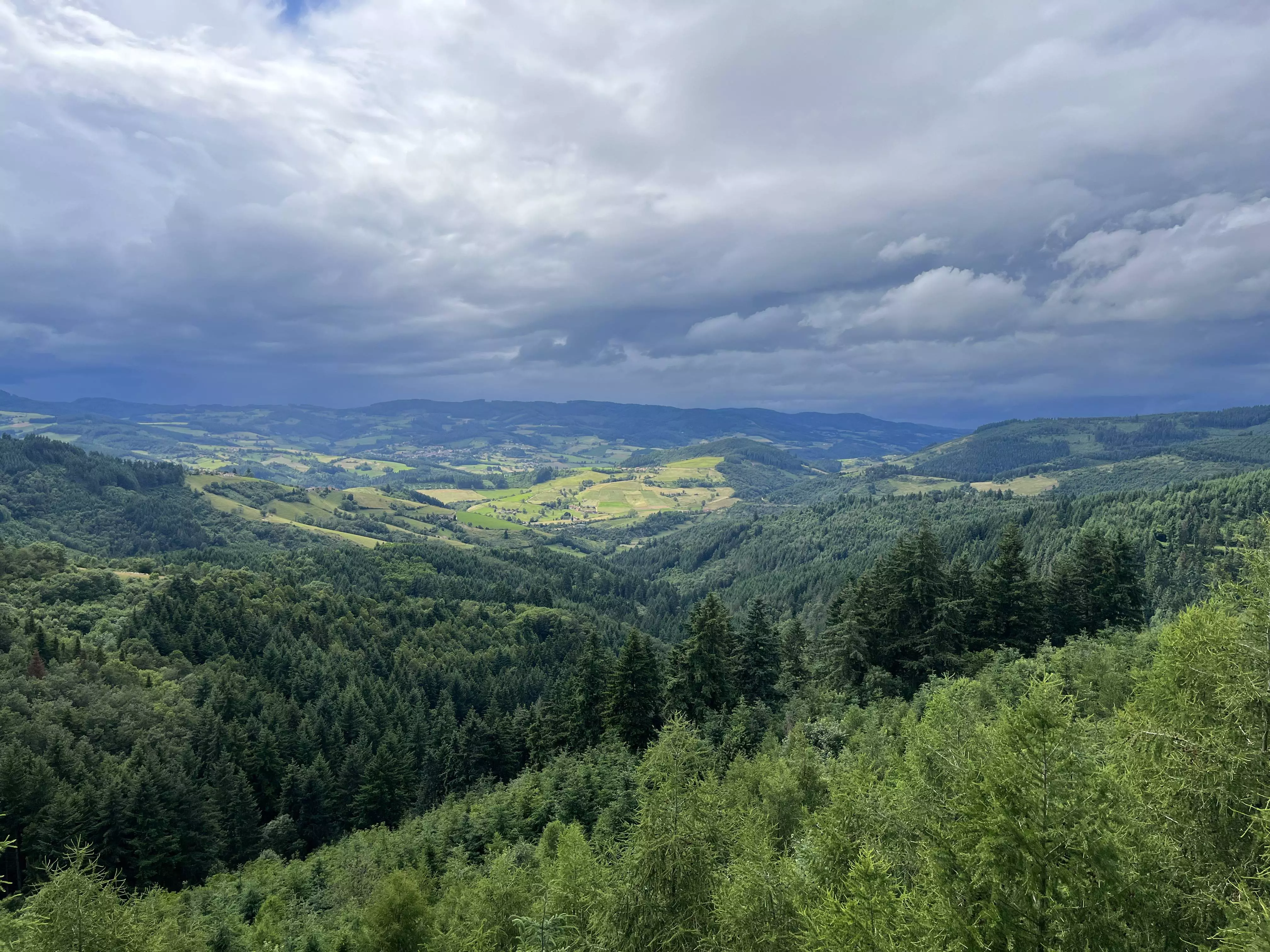Forested hills in the Beaujolais district with grey clouds above.